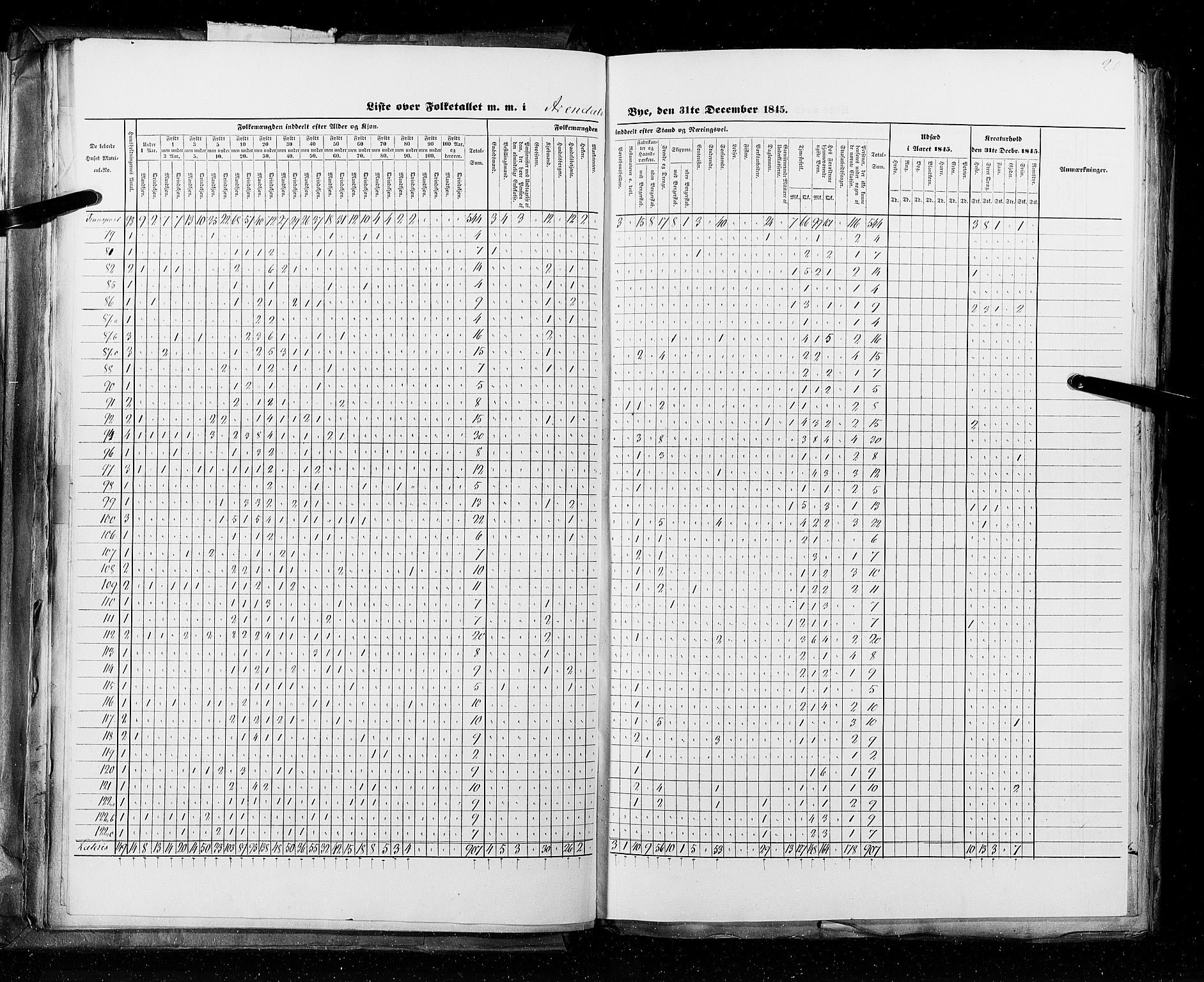 RA, Census 1845, vol. 11: Cities, 1845, p. 20