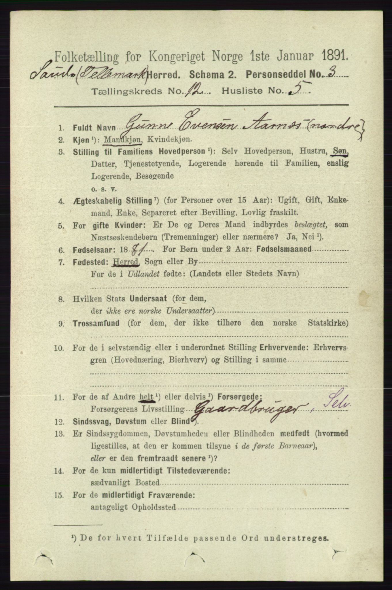 RA, 1891 census for 0822 Sauherad, 1891, p. 3649