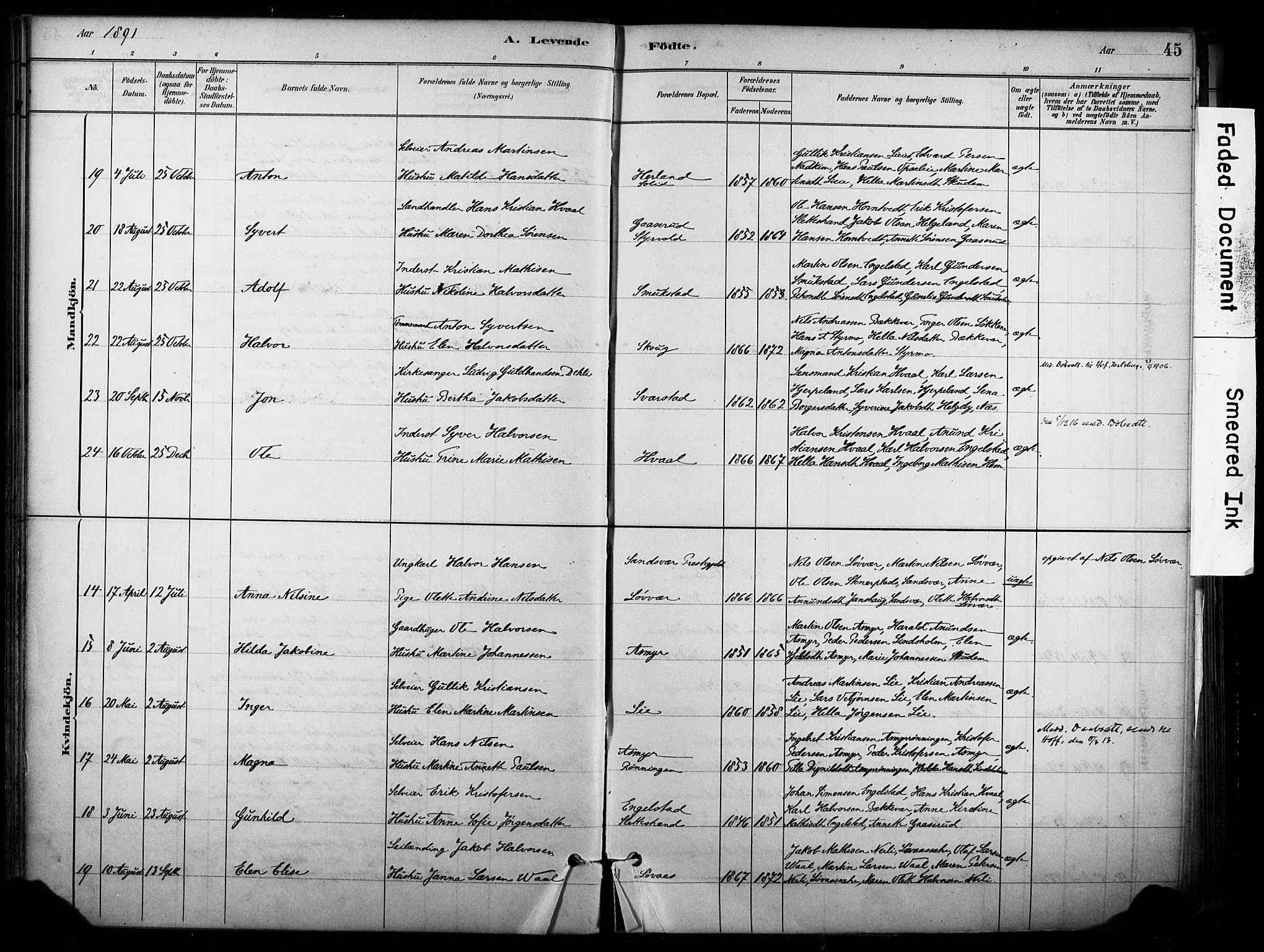 Lardal kirkebøker, AV/SAKO-A-350/F/Fb/L0001: Parish register (official) no. II 1, 1881-1911, p. 45