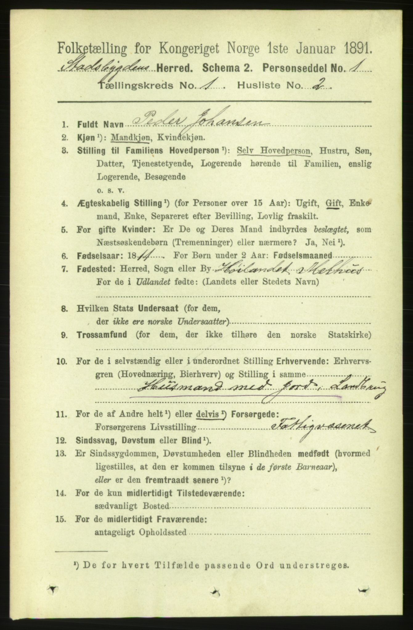 RA, 1891 census for 1625 Stadsbygd, 1891, p. 113