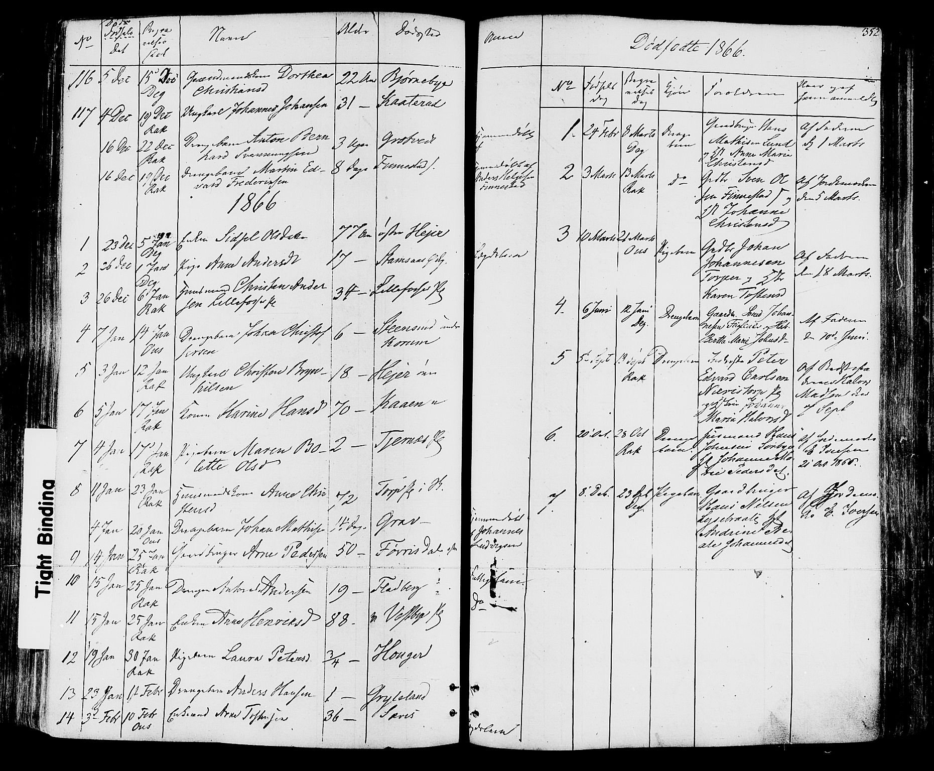 Rakkestad prestekontor Kirkebøker, SAO/A-2008/F/Fa/L0011: Parish register (official) no. I 11, 1862-1877, p. 352