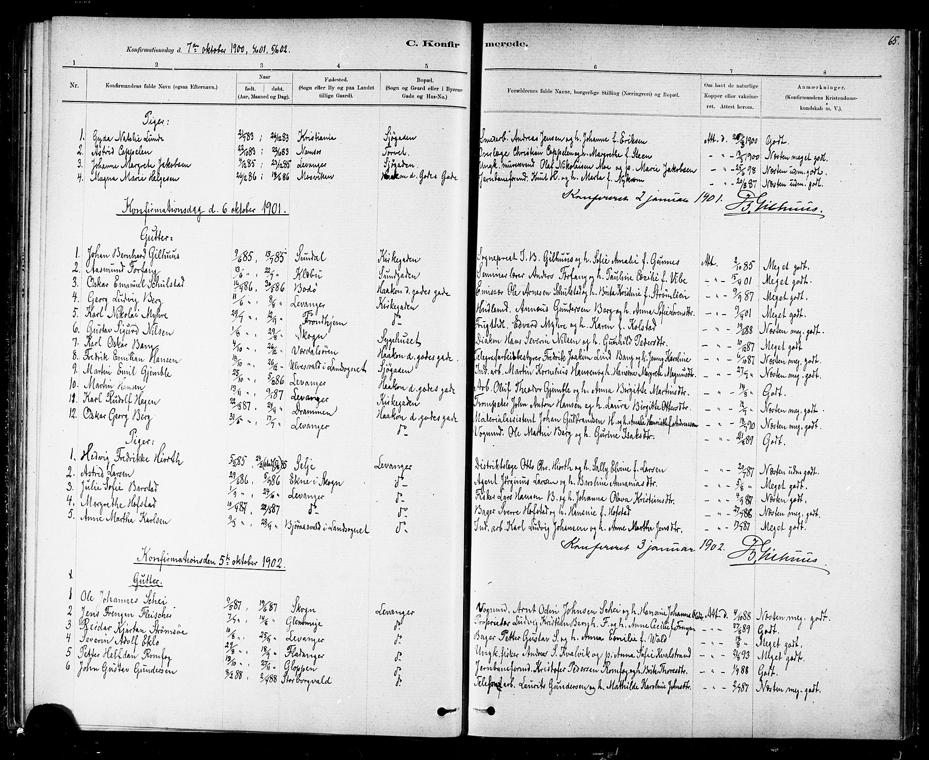 Ministerialprotokoller, klokkerbøker og fødselsregistre - Nord-Trøndelag, AV/SAT-A-1458/720/L0192: Parish register (copy) no. 720C01, 1880-1917, p. 65