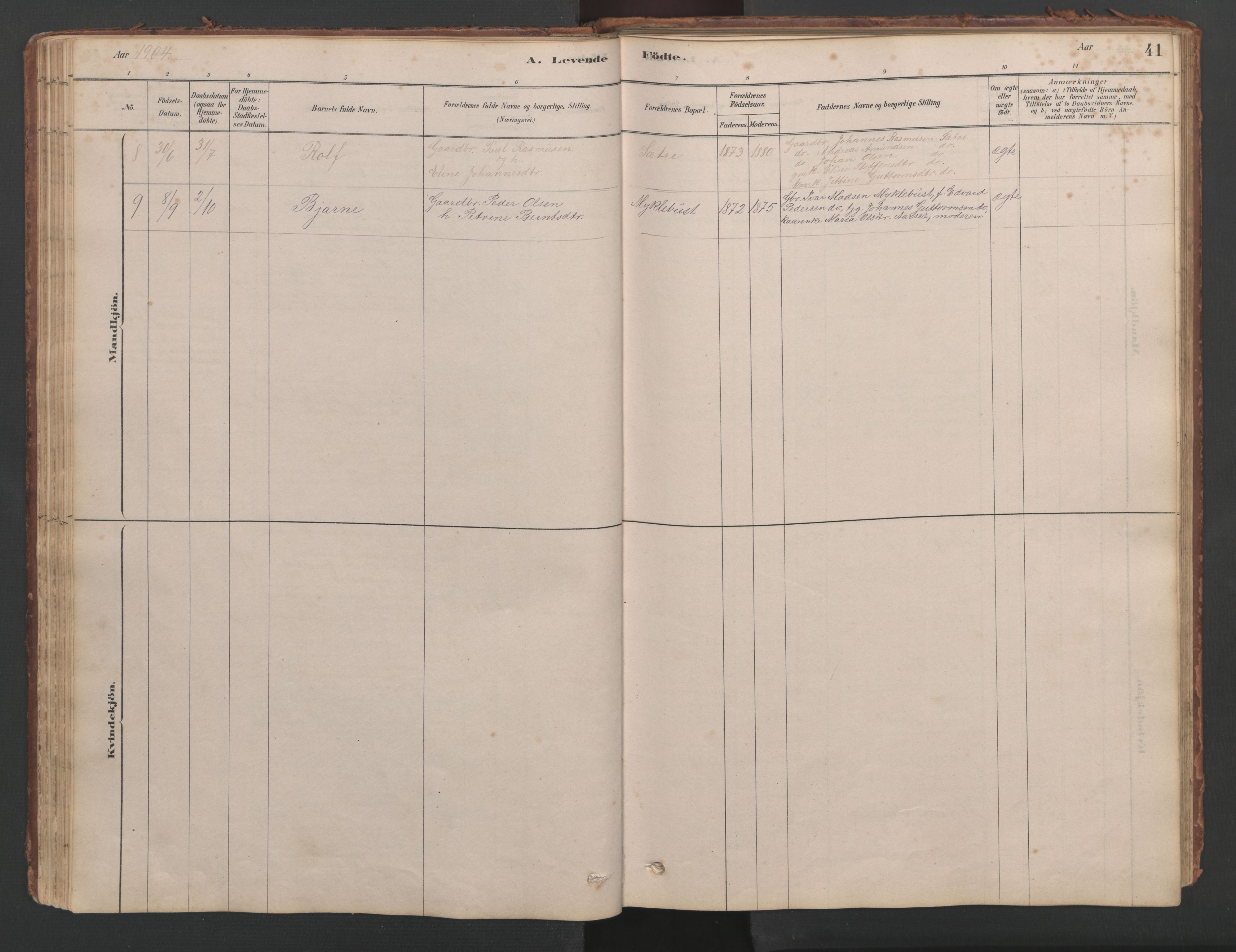 Ministerialprotokoller, klokkerbøker og fødselsregistre - Møre og Romsdal, AV/SAT-A-1454/514/L0201: Parish register (copy) no. 514C01, 1878-1919, p. 41