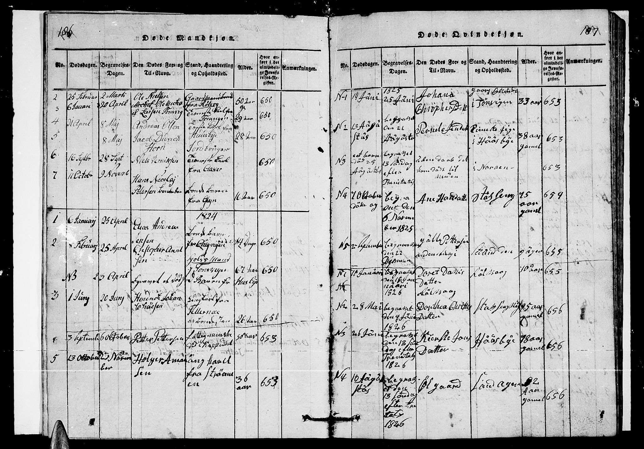 Ministerialprotokoller, klokkerbøker og fødselsregistre - Nordland, SAT/A-1459/835/L0529: Parish register (copy) no. 835C01, 1820-1828, p. 186-187