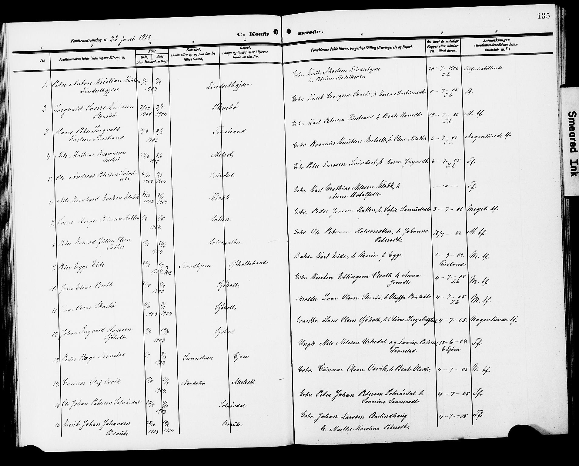Ministerialprotokoller, klokkerbøker og fødselsregistre - Møre og Romsdal, SAT/A-1454/522/L0328: Parish register (copy) no. 522C07, 1909-1925, p. 135