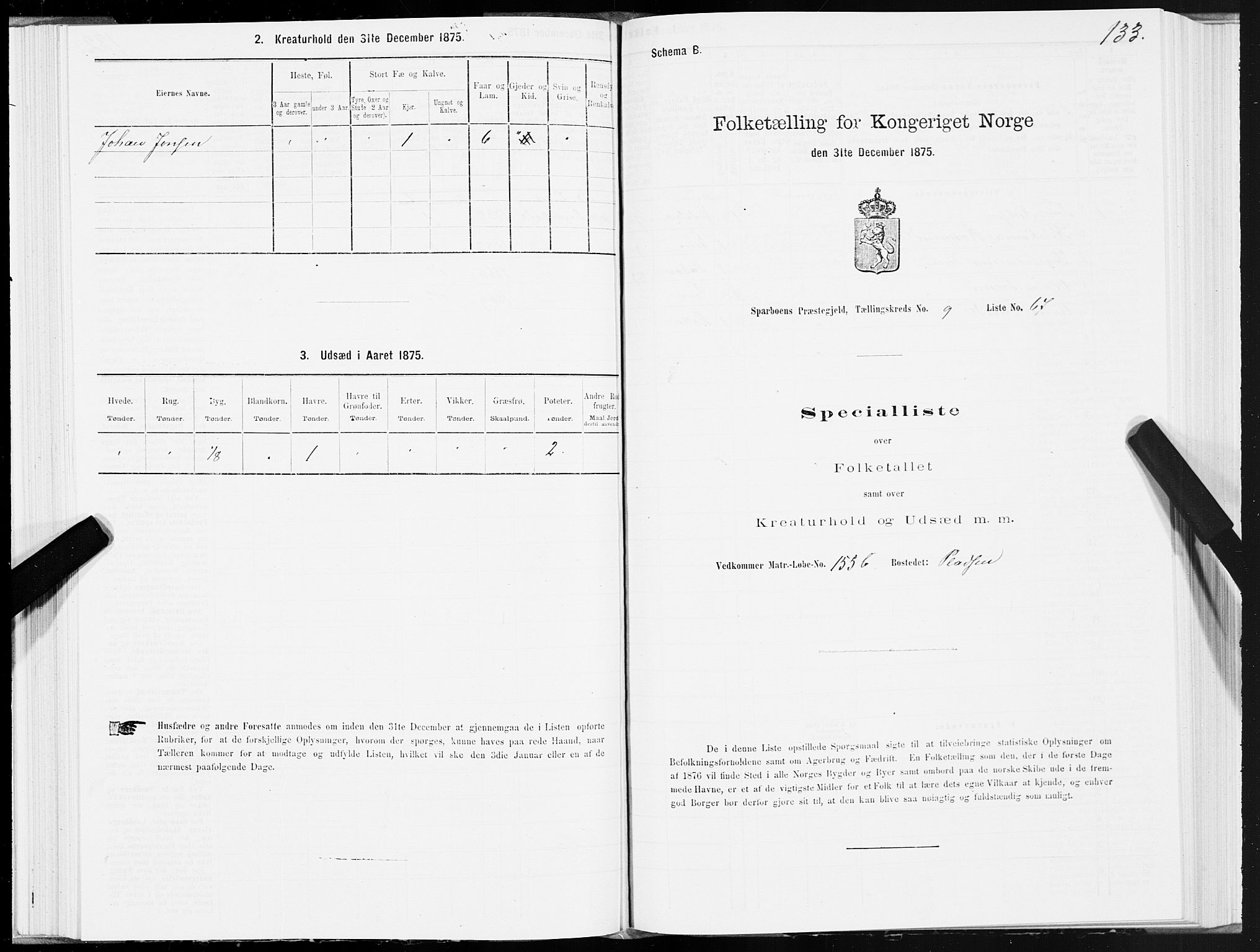 SAT, 1875 census for 1731P Sparbu, 1875, p. 4133