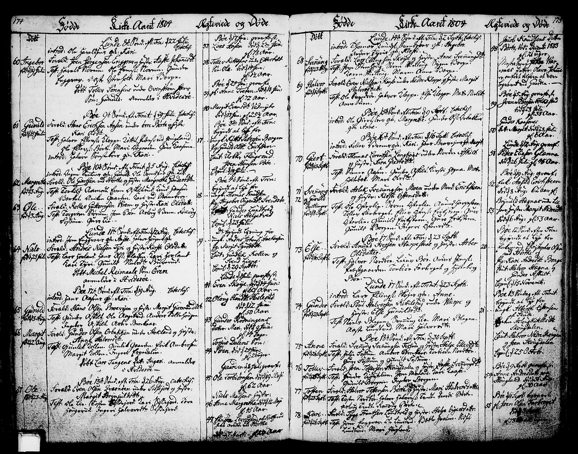 Bø kirkebøker, SAKO/A-257/F/Fa/L0005: Parish register (official) no. 5, 1785-1815, p. 174-175