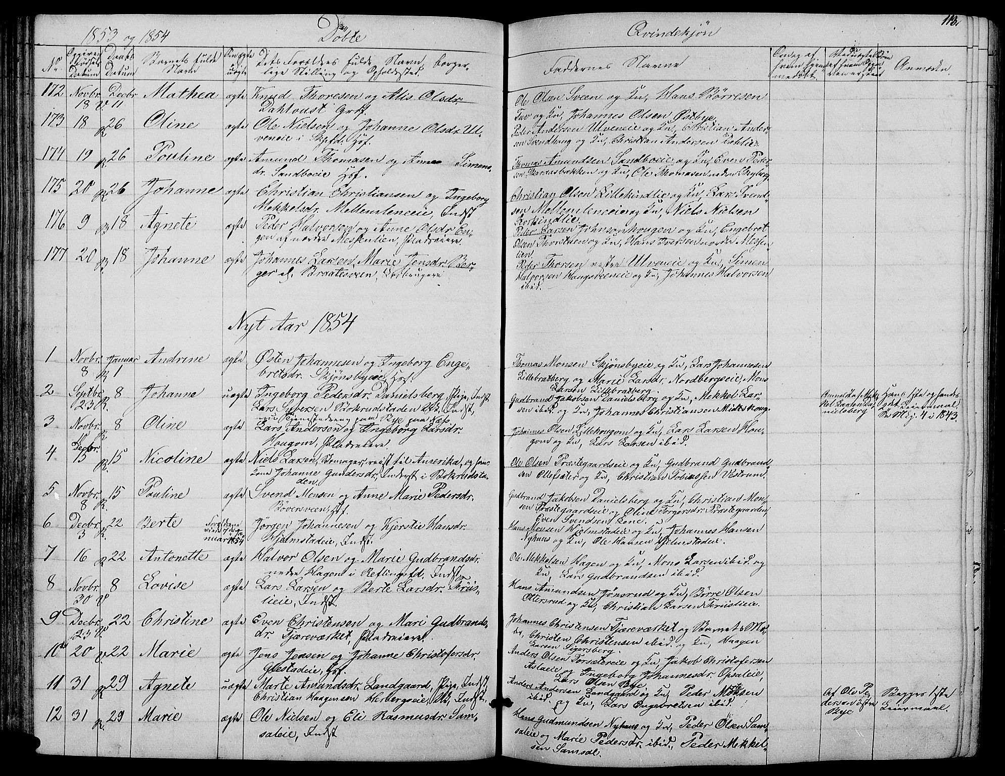 Ringsaker prestekontor, SAH/PREST-014/L/La/L0006: Parish register (copy) no. 6, 1851-1860, p. 113