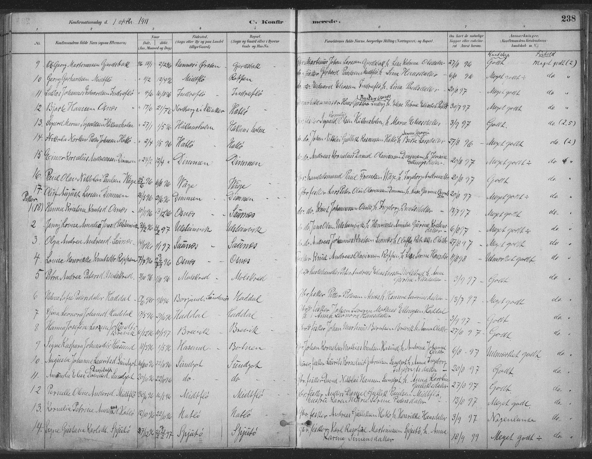 Ministerialprotokoller, klokkerbøker og fødselsregistre - Møre og Romsdal, AV/SAT-A-1454/509/L0106: Parish register (official) no. 509A04, 1883-1922, p. 238