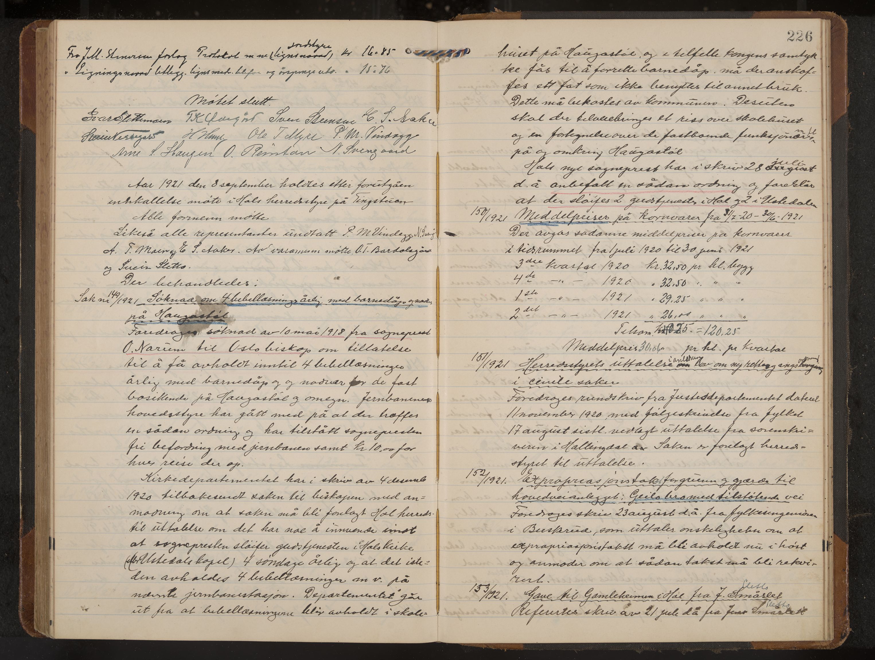 Hol formannskap og sentraladministrasjon, IKAK/0620021-1/A/L0006: Møtebok, 1916-1922, p. 226