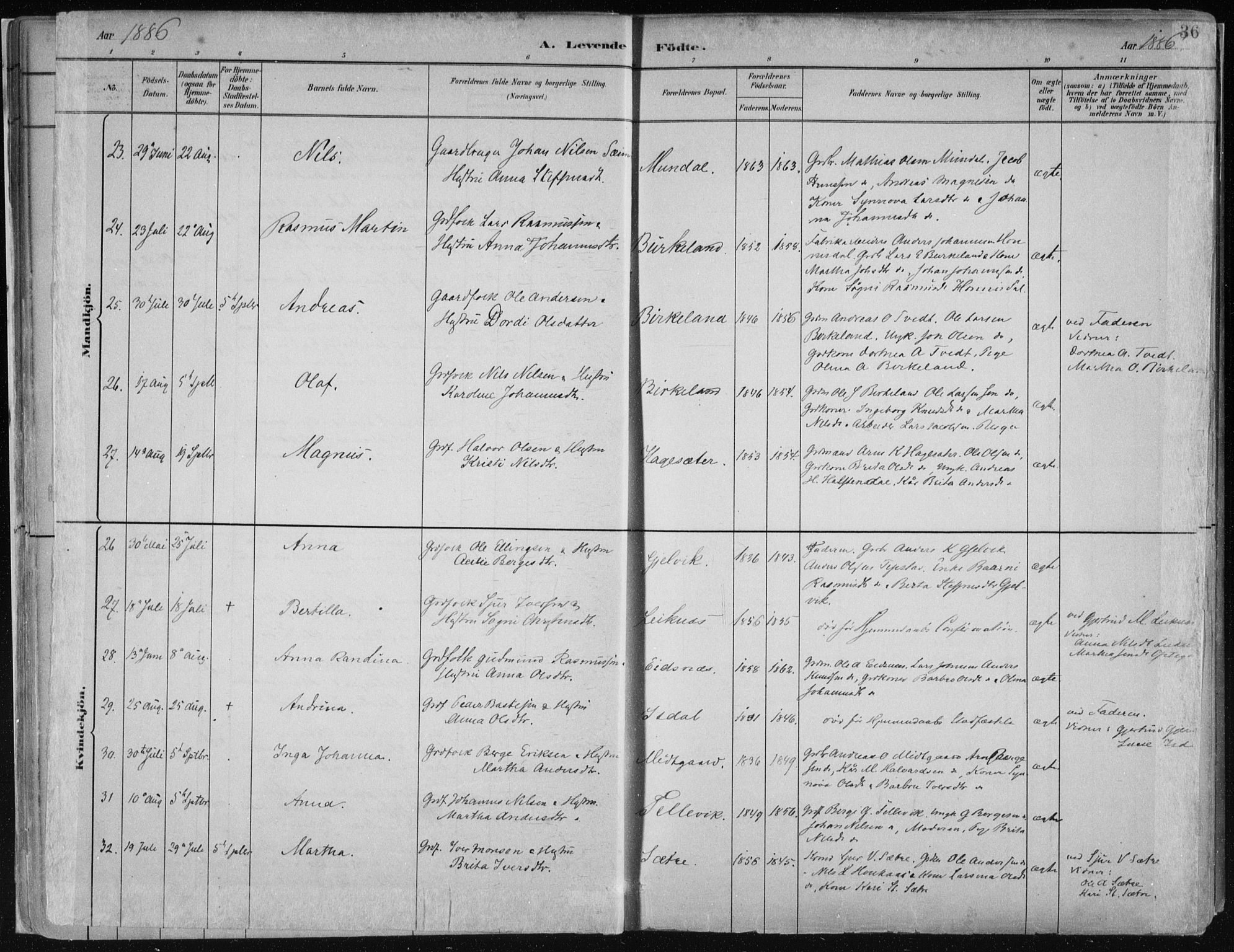 Hamre sokneprestembete, AV/SAB-A-75501/H/Ha/Haa/Haab/L0001: Parish register (official) no. B  1, 1882-1905, p. 36