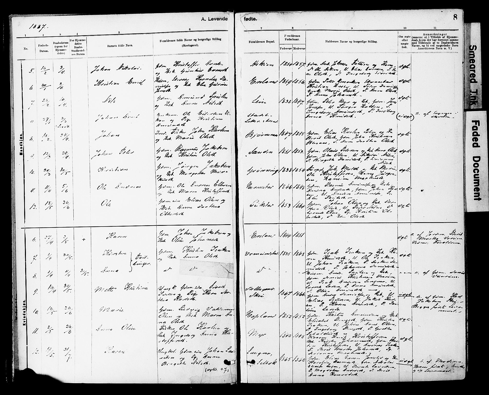Ministerialprotokoller, klokkerbøker og fødselsregistre - Sør-Trøndelag, SAT/A-1456/646/L0615: Parish register (official) no. 646A13, 1885-1900, p. 8