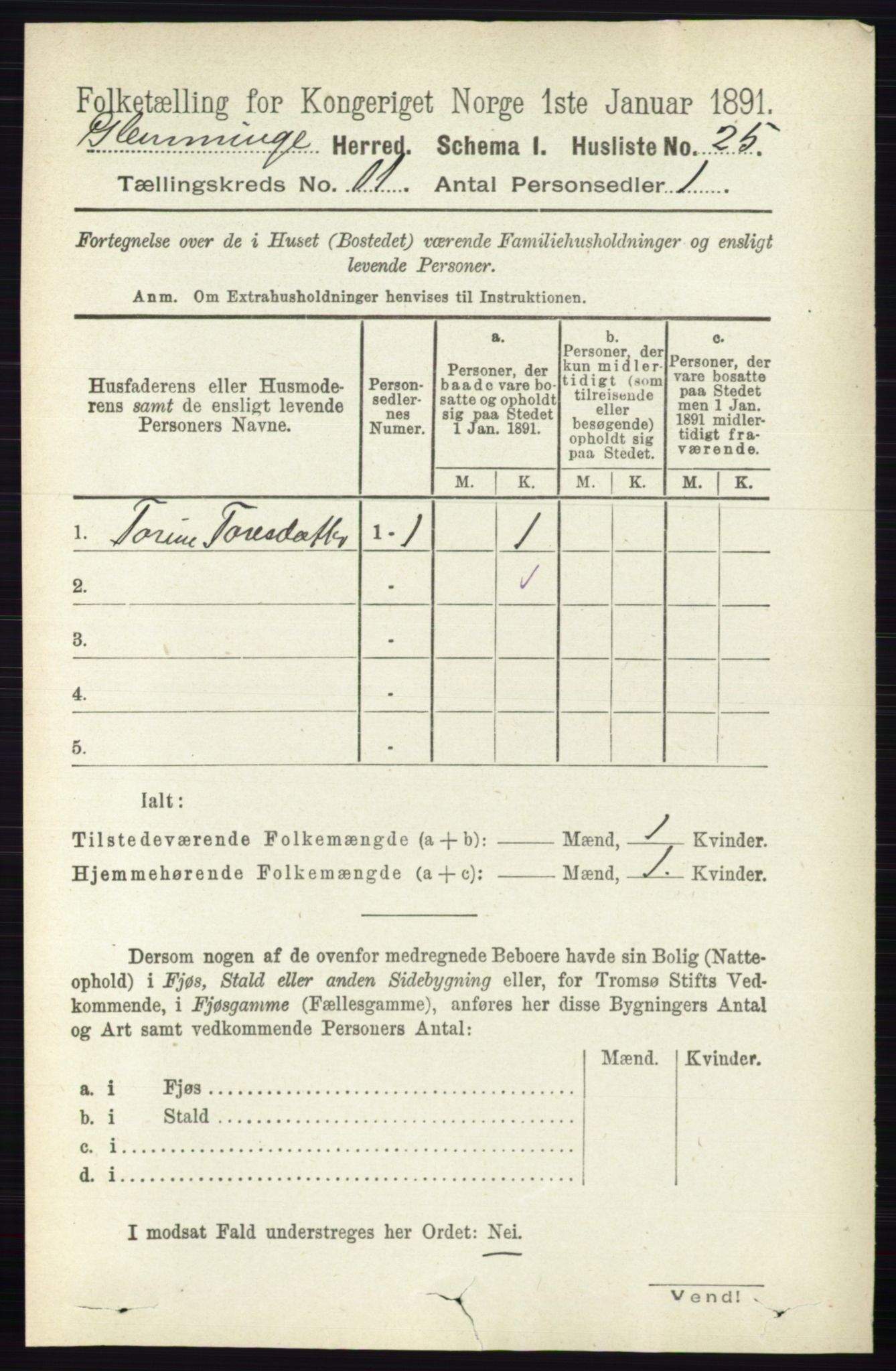 RA, 1891 census for 0132 Glemmen, 1891, p. 10556