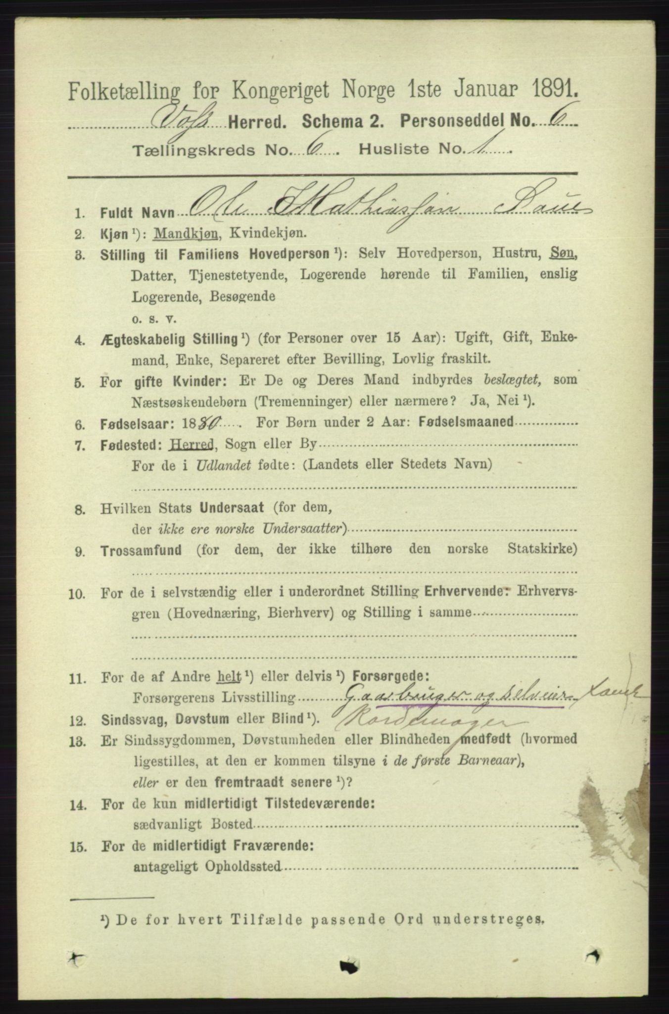 RA, 1891 census for 1235 Voss, 1891, p. 3295