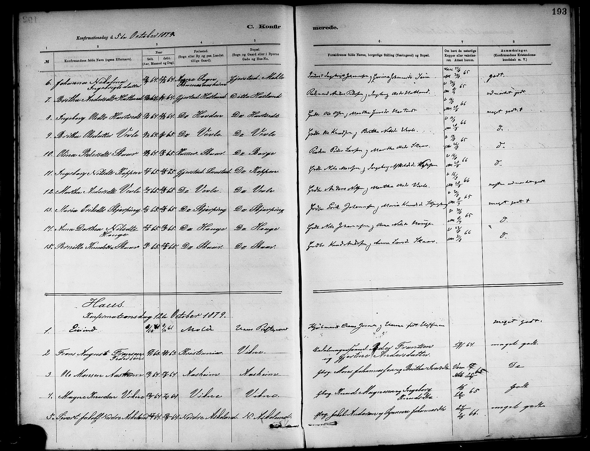 Haus sokneprestembete, AV/SAB-A-75601/H/Haa: Parish register (official) no. A 19I, 1878-1886, p. 193