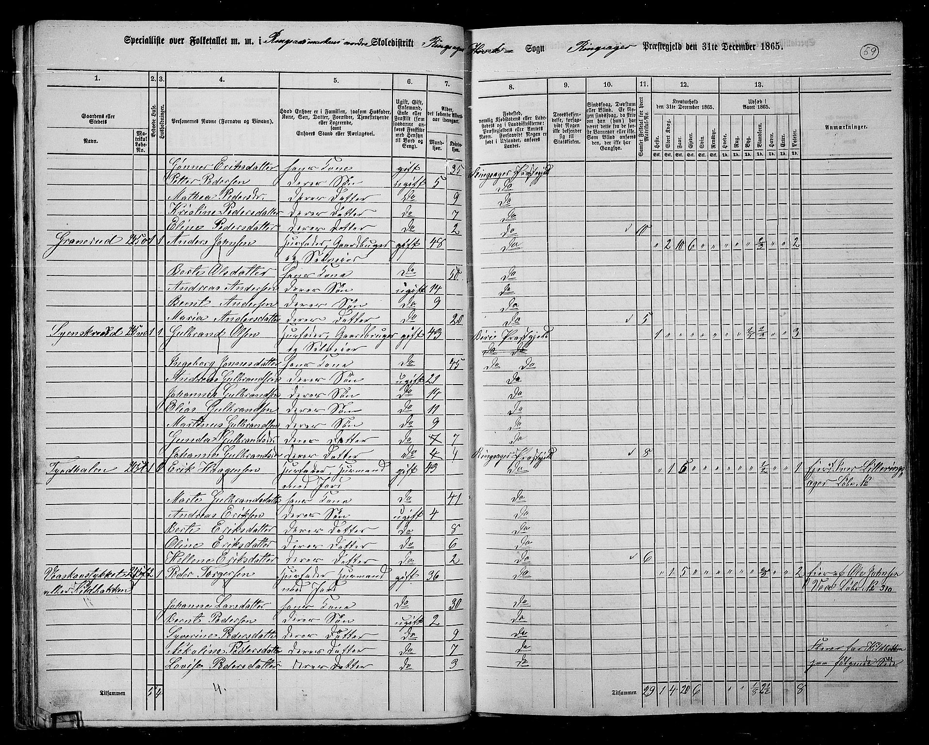 RA, 1865 census for Ringsaker, 1865, p. 311