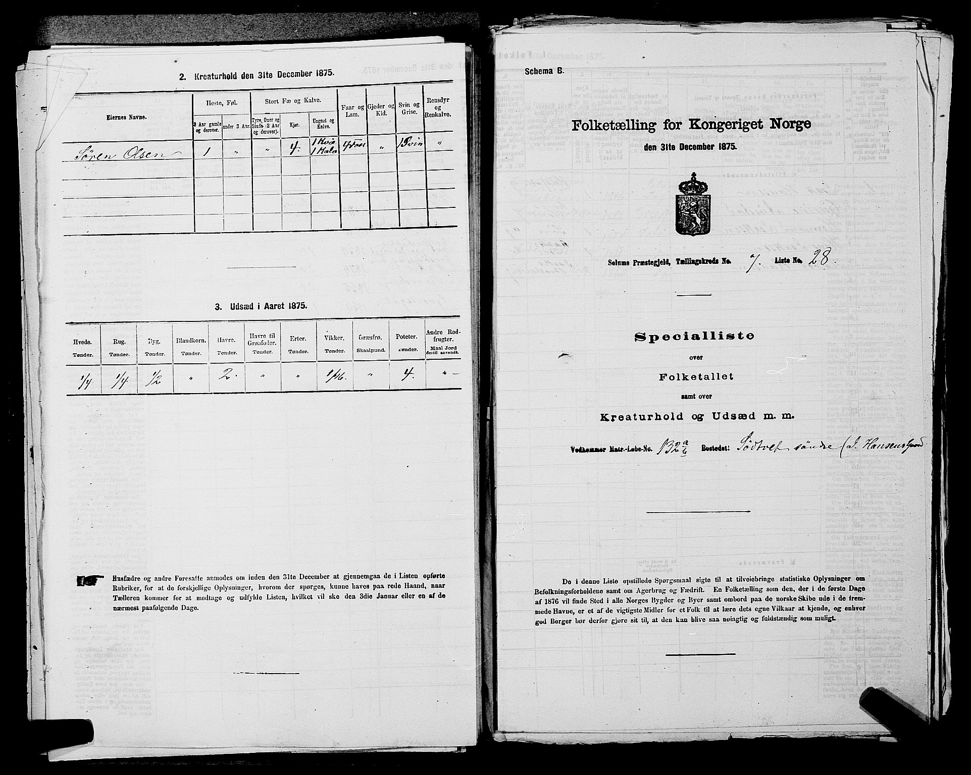 SAKO, 1875 census for 0818P Solum, 1875, p. 1269