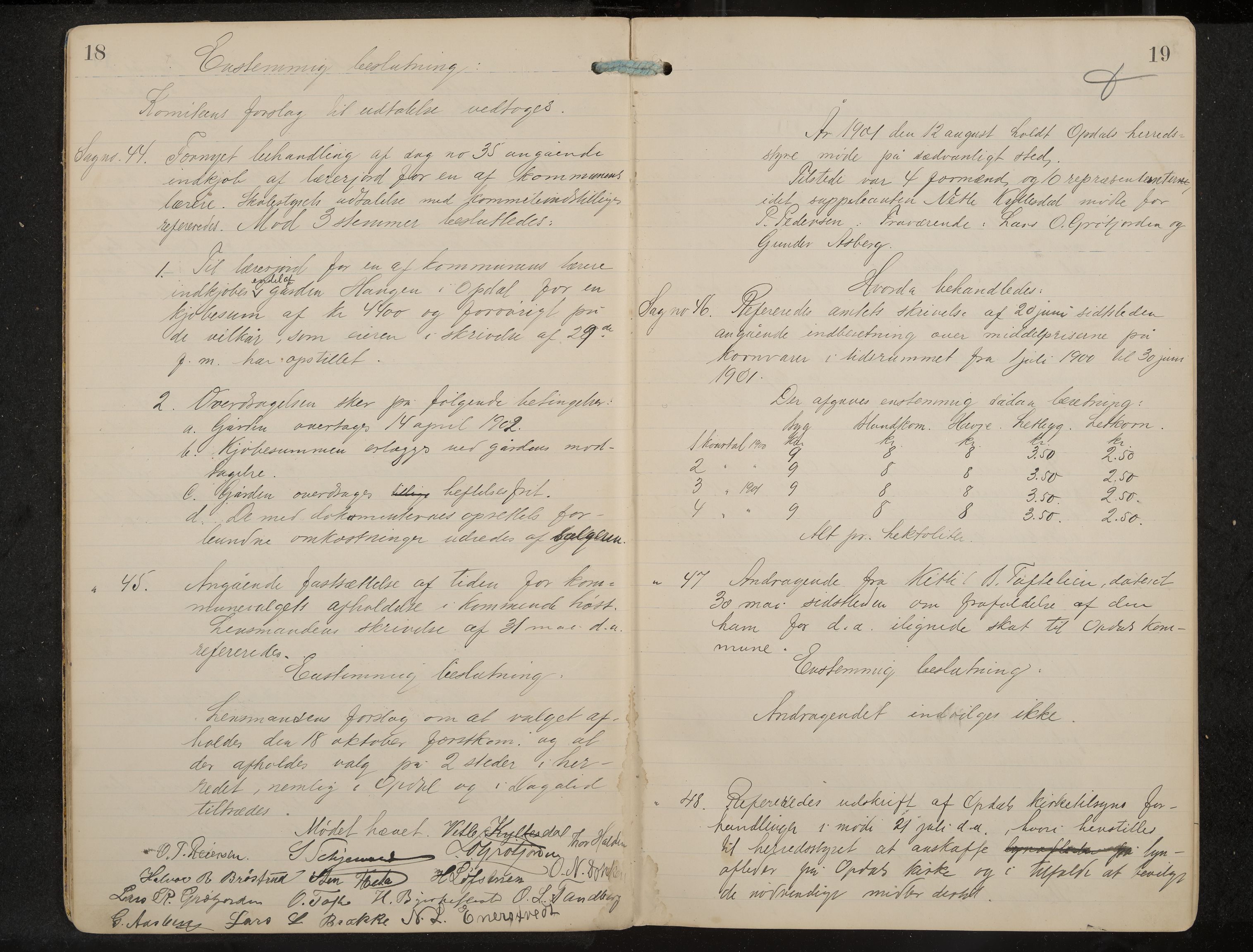 Uvdal formannskap og sentraladministrasjon, IKAK/0634021/A/Aa/L0001: Møtebok, 1901-1909, p. 18-19
