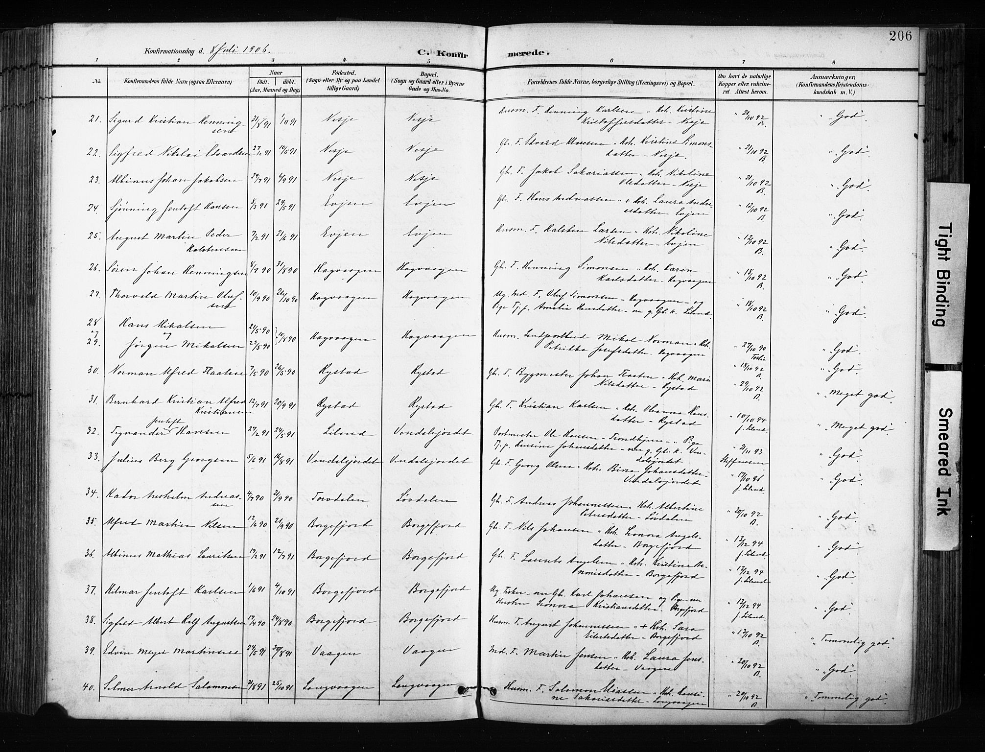 Ministerialprotokoller, klokkerbøker og fødselsregistre - Nordland, AV/SAT-A-1459/880/L1134: Parish register (official) no. 880A08, 1899-1908, p. 206