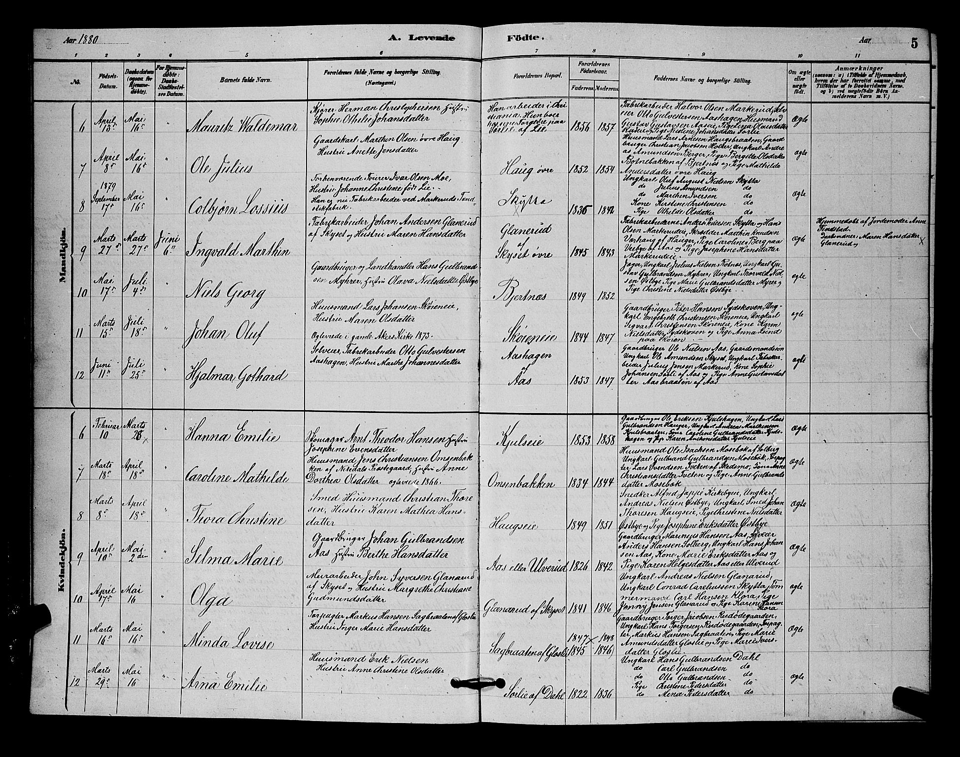 Nittedal prestekontor Kirkebøker, SAO/A-10365a/G/Ga/L0002: Parish register (copy) no. I 2, 1879-1901, p. 5
