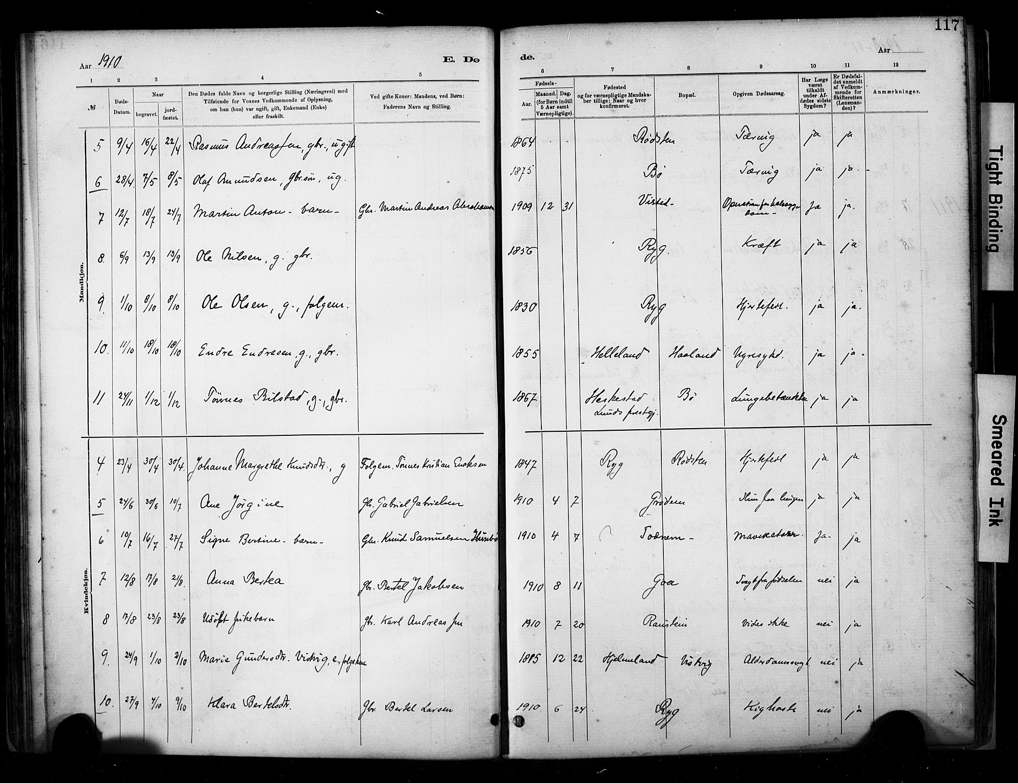 Hetland sokneprestkontor, SAST/A-101826/30/30BA/L0009: Parish register (official) no. A 9, 1882-1918, p. 117