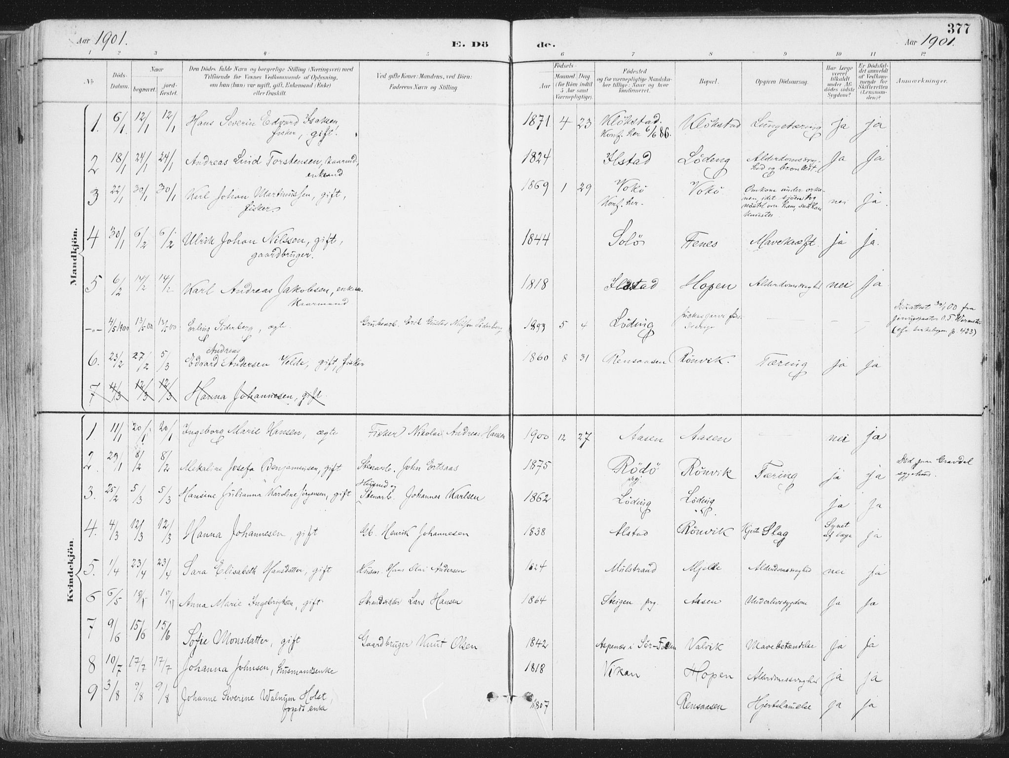 Ministerialprotokoller, klokkerbøker og fødselsregistre - Nordland, SAT/A-1459/802/L0055: Parish register (official) no. 802A02, 1894-1915, p. 377