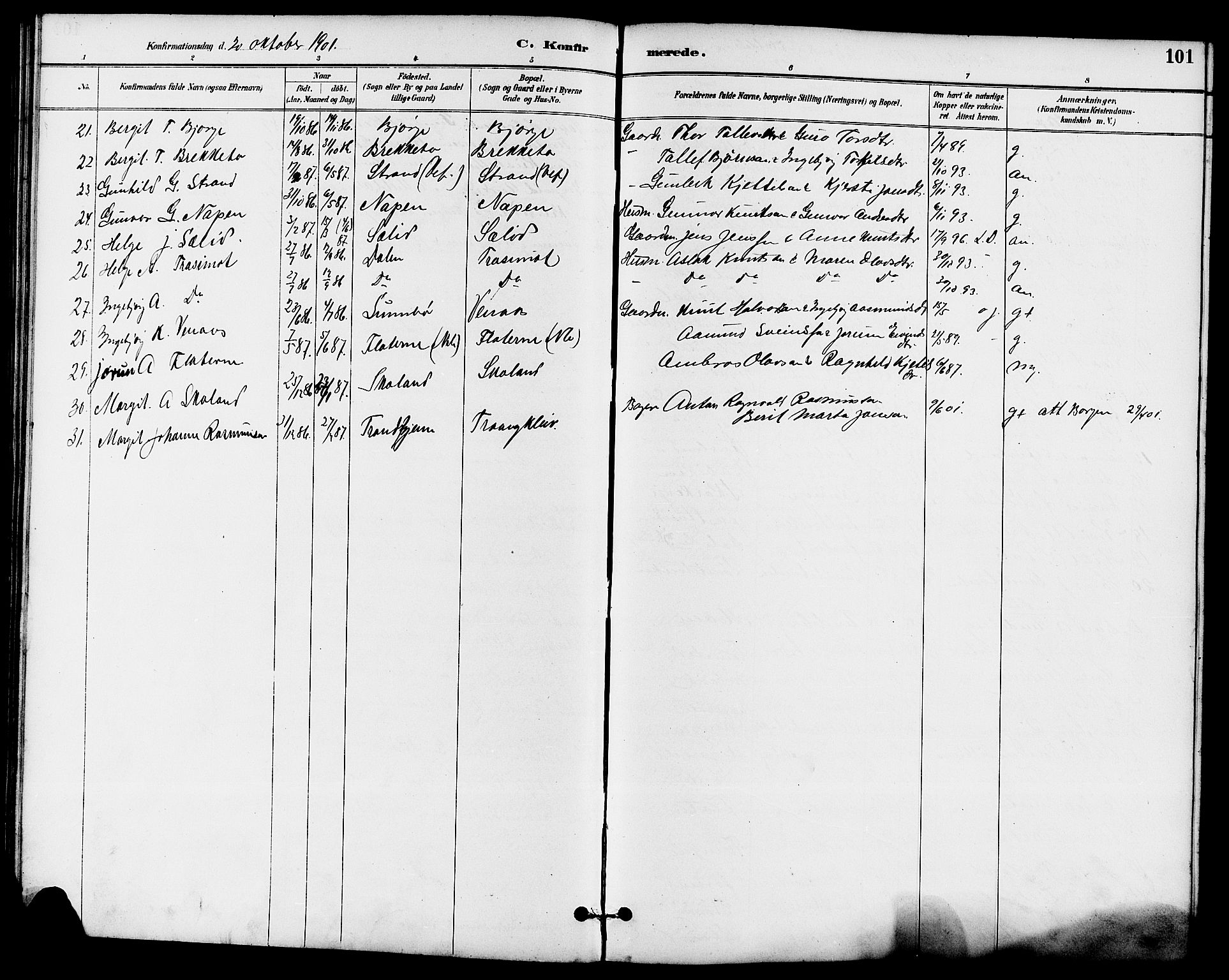 Seljord kirkebøker, SAKO/A-20/G/Ga/L0005: Parish register (copy) no. I 5, 1887-1914, p. 101