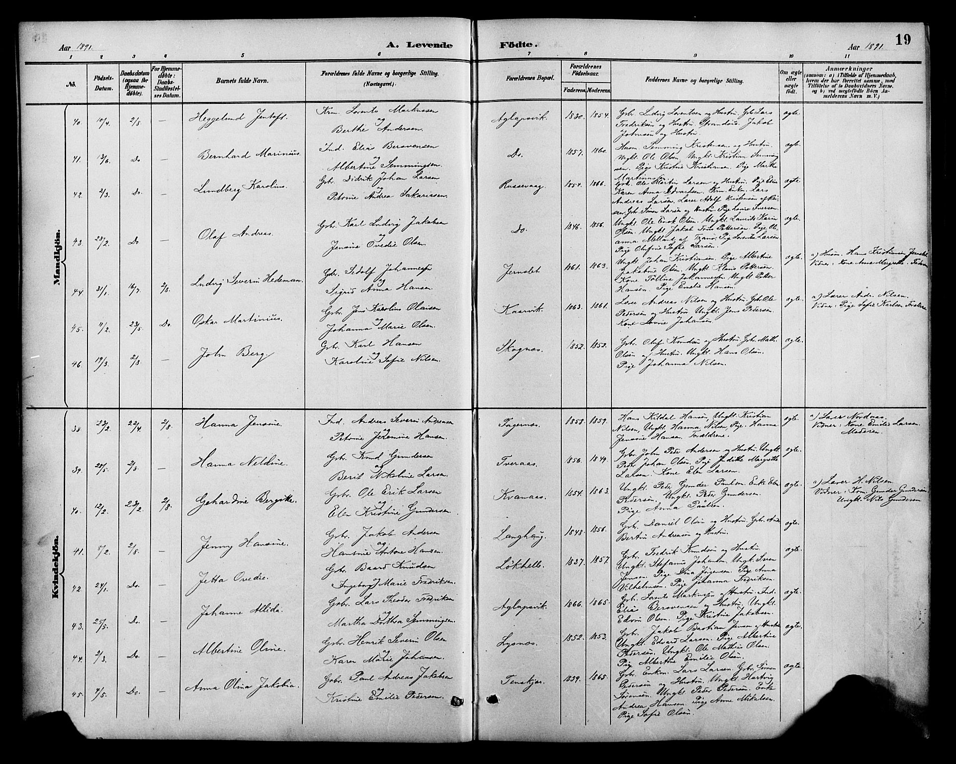 Lenvik sokneprestembete, SATØ/S-1310/H/Ha/Haa/L0013kirke: Parish register (official) no. 13, 1890-1898, p. 19