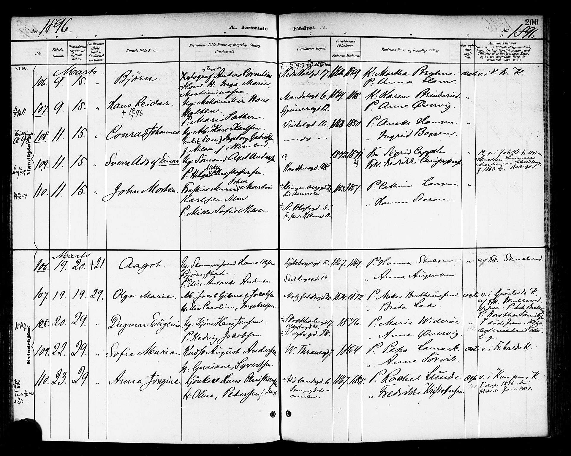 Rikshospitalet prestekontor Kirkebøker, SAO/A-10309b/F/L0009: Parish register (official) no. 9, 1894-1897, p. 206