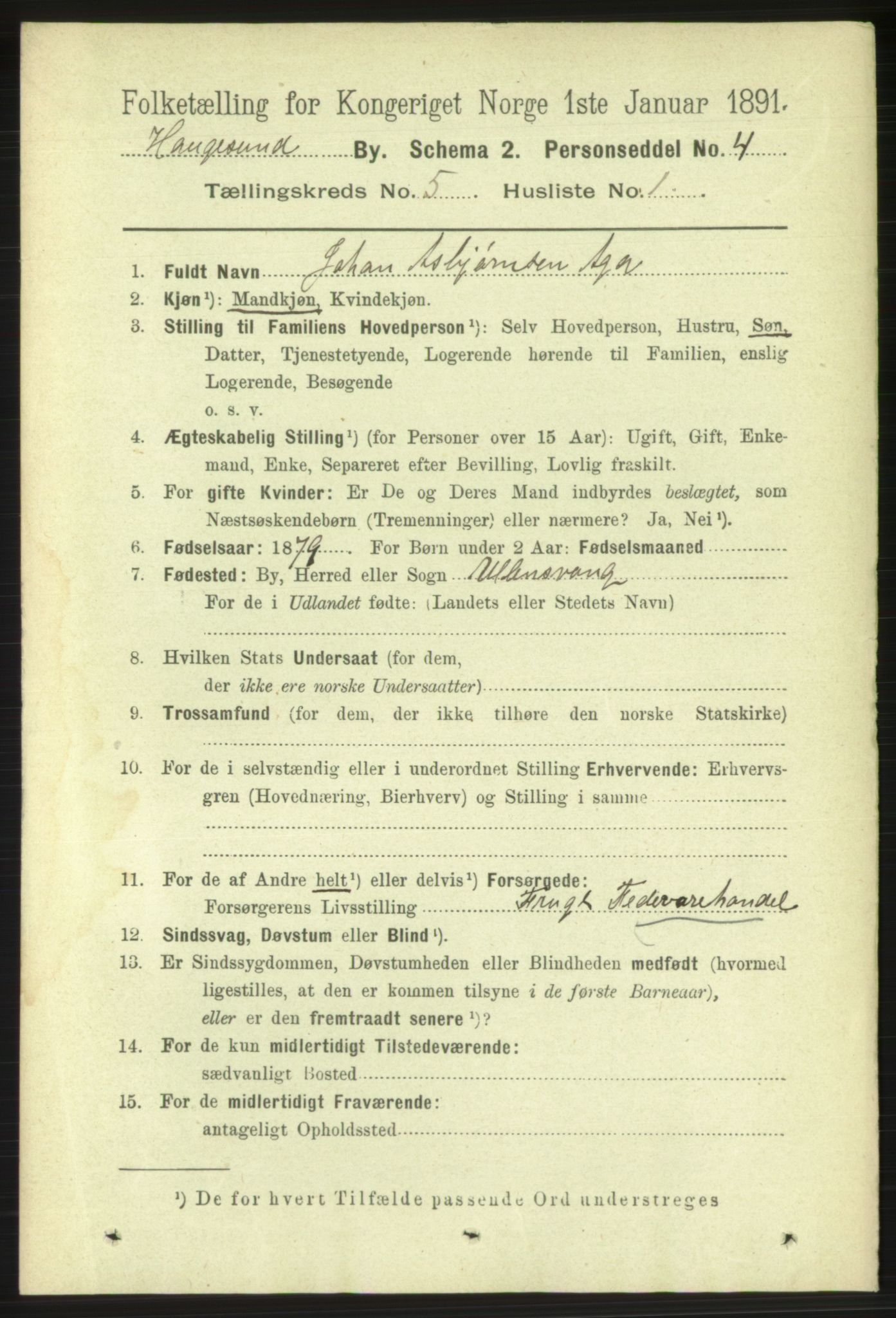 RA, 1891 census for 1106 Haugesund, 1891, p. 1936