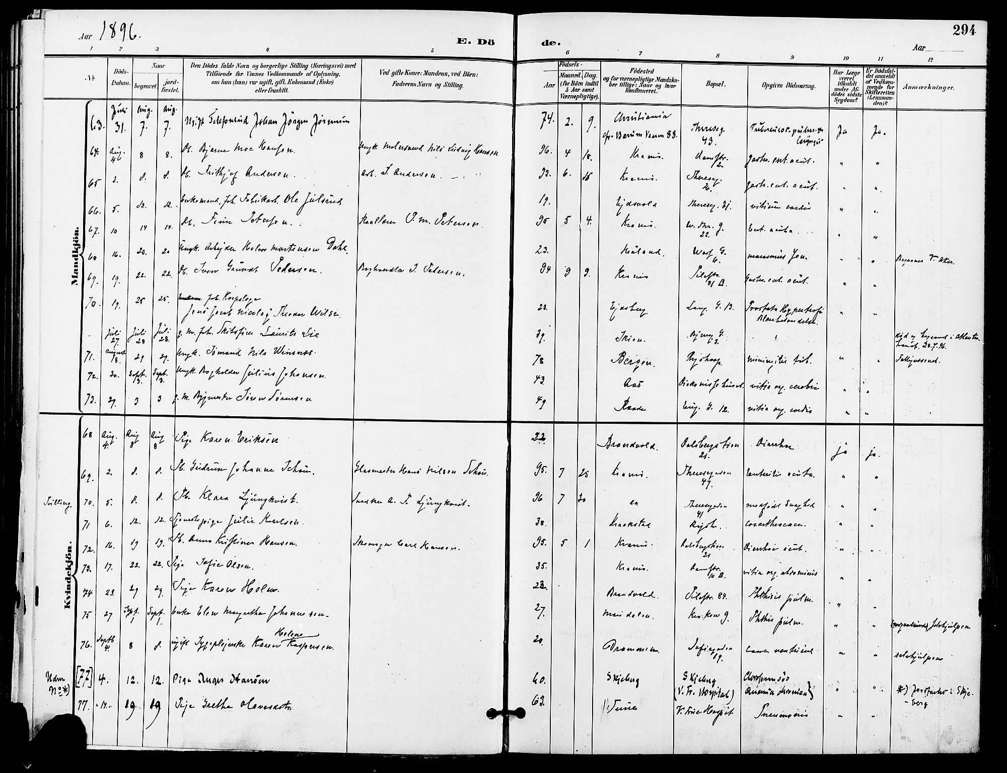 Gamle Aker prestekontor Kirkebøker, AV/SAO-A-10617a/F/L0011: Parish register (official) no. 11, 1896-1901, p. 294