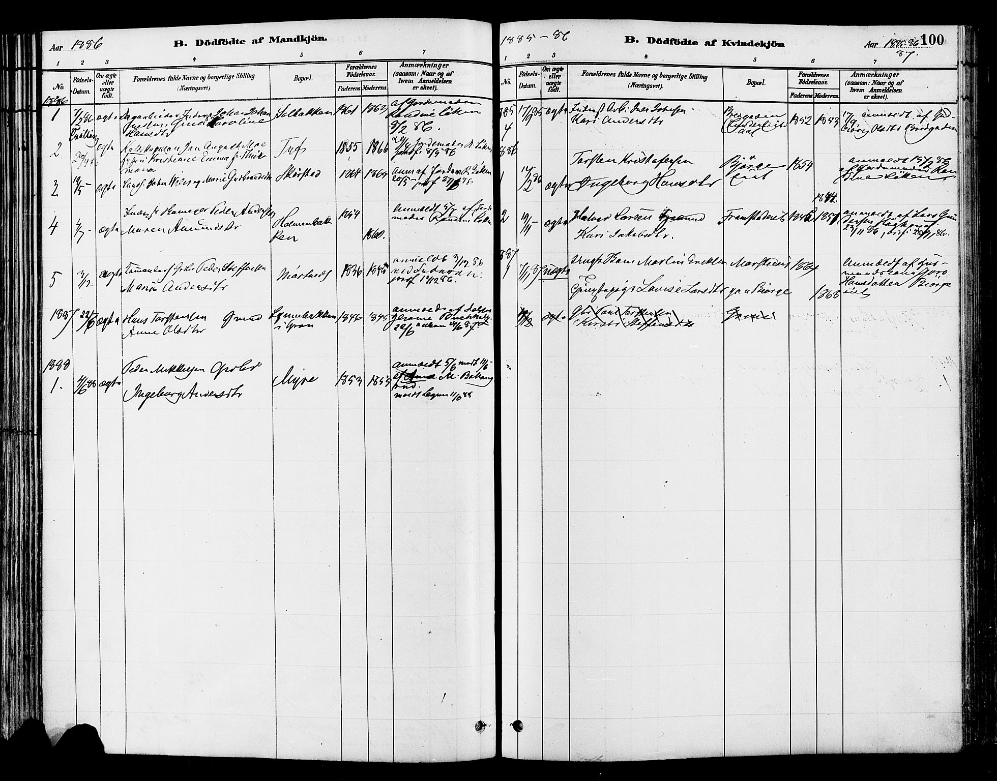 Gran prestekontor, SAH/PREST-112/H/Ha/Haa/L0014: Parish register (official) no. 14, 1880-1889, p. 100
