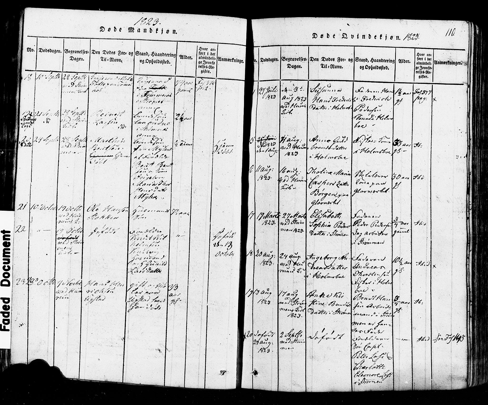 Hurum kirkebøker, AV/SAKO-A-229/G/Ga/L0001: Parish register (copy) no. I 1, 1816-1826, p. 110