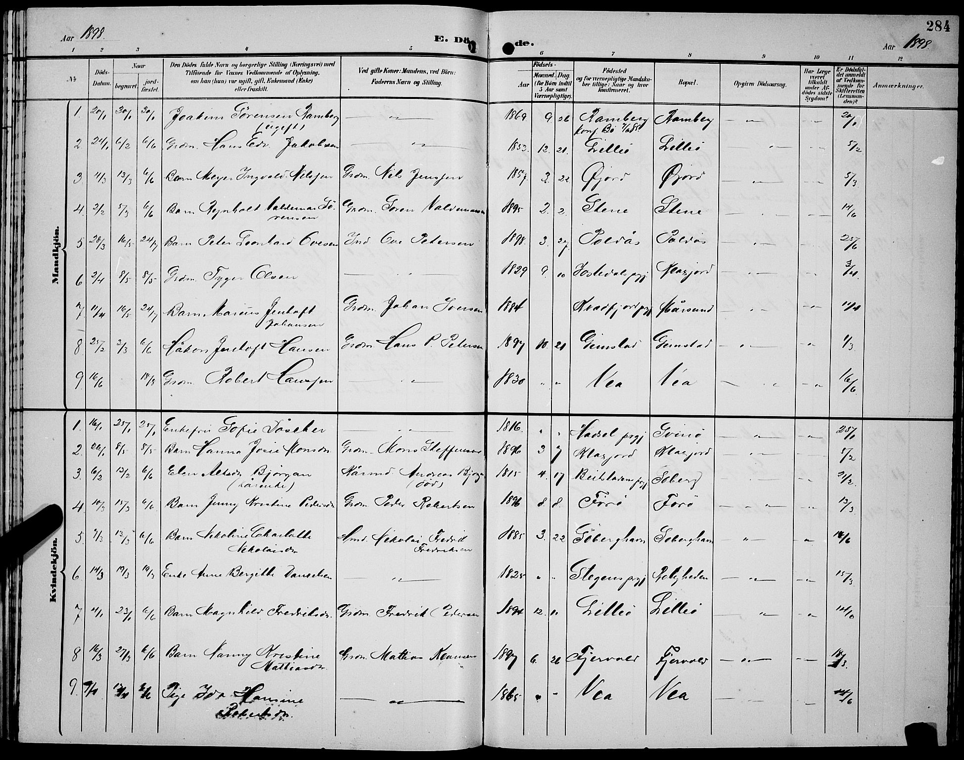 Ministerialprotokoller, klokkerbøker og fødselsregistre - Nordland, AV/SAT-A-1459/891/L1316: Parish register (copy) no. 891C05, 1894-1898, p. 284