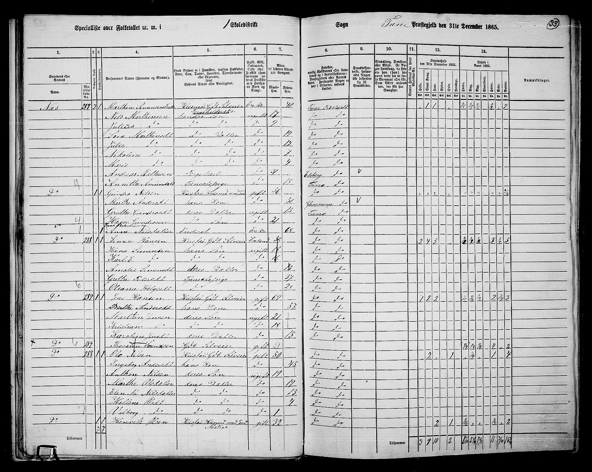 RA, 1865 census for Tune, 1865, p. 30