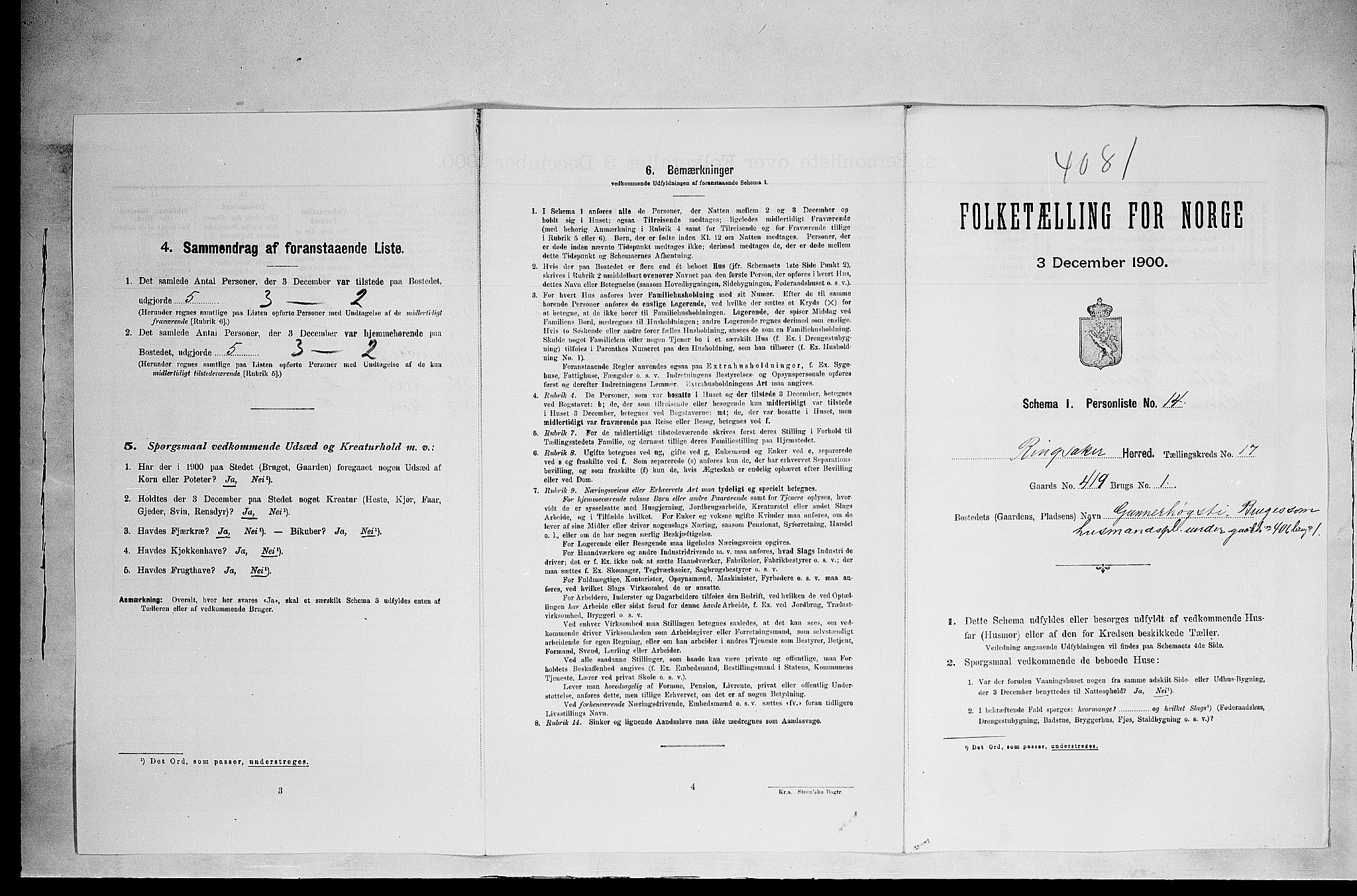 SAH, 1900 census for Ringsaker, 1900, p. 3124