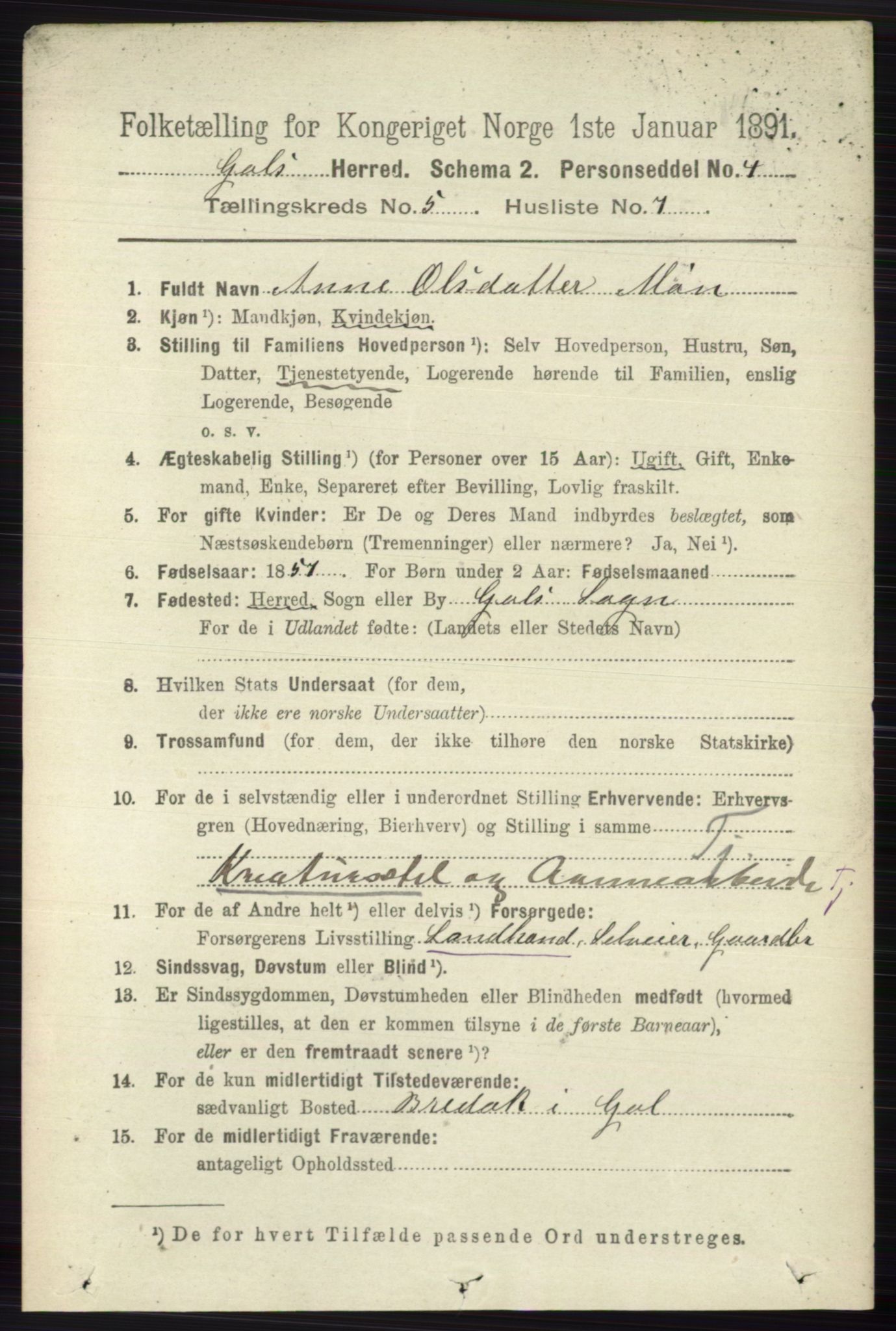 RA, 1891 census for 0617 Gol og Hemsedal, 1891, p. 2345