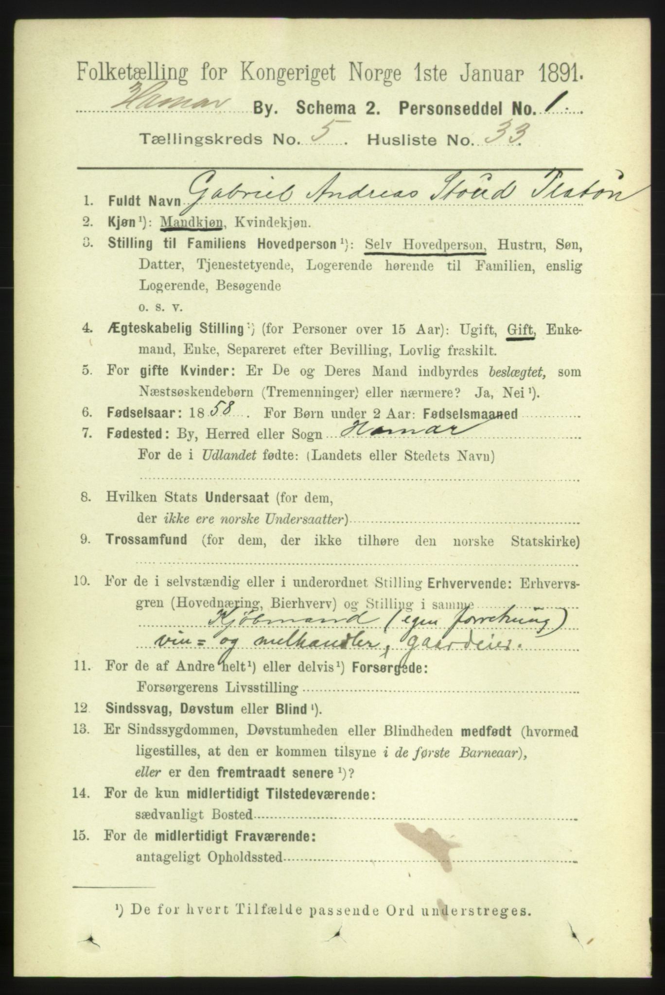 RA, 1891 census for 0401 Hamar, 1891, p. 4195