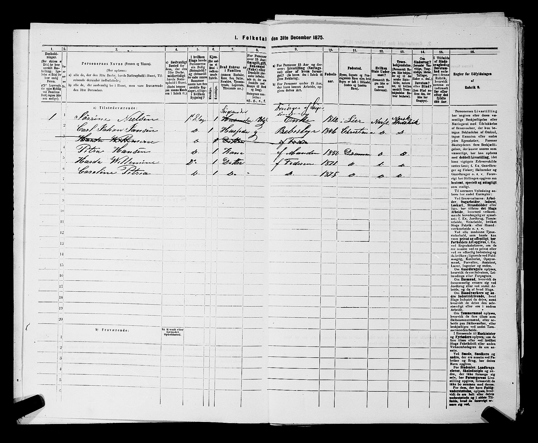 SAKO, 1875 census for 0602 Drammen, 1875, p. 2868