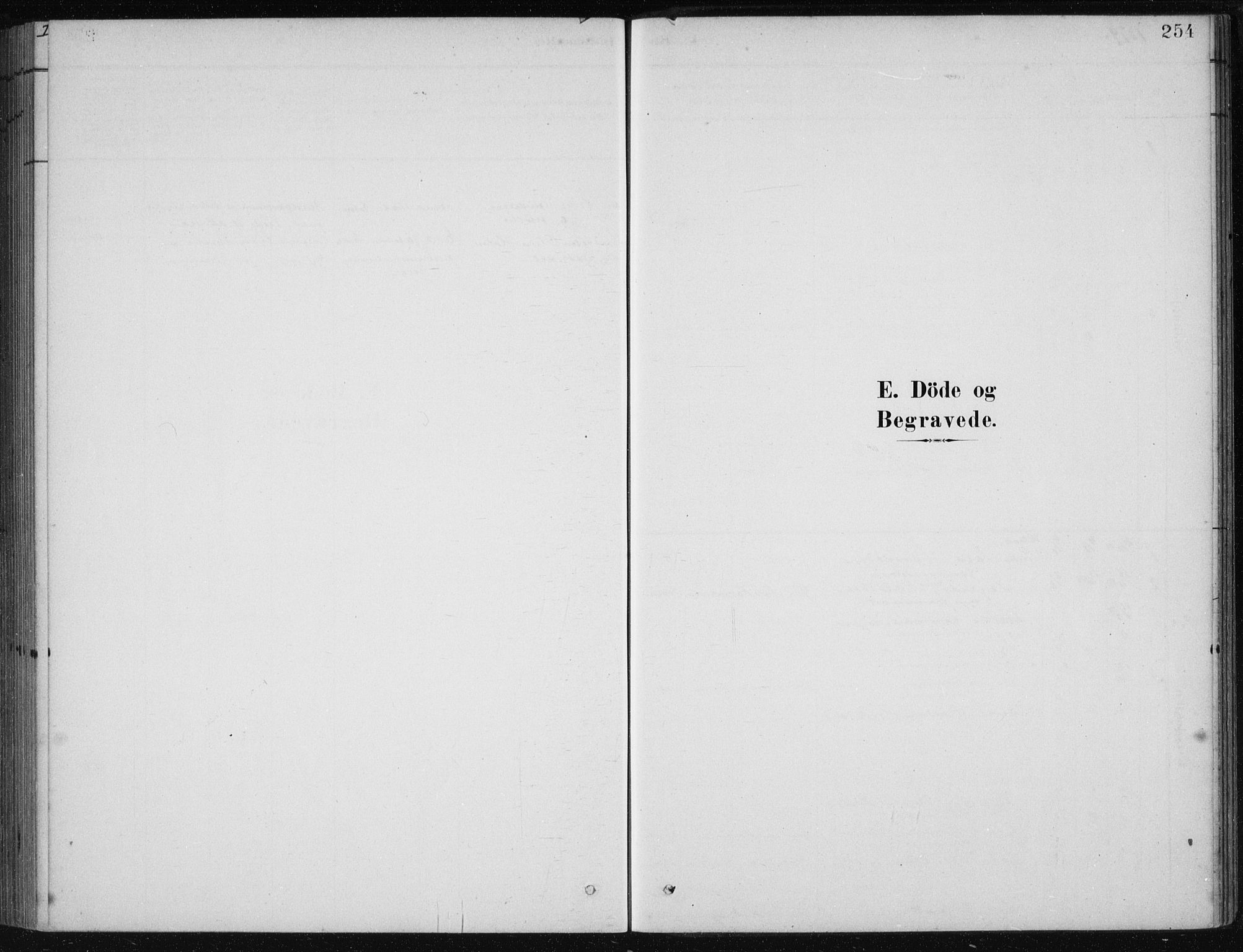 Etne sokneprestembete, SAB/A-75001/H/Haa: Parish register (official) no. D  1, 1879-1919, p. 254