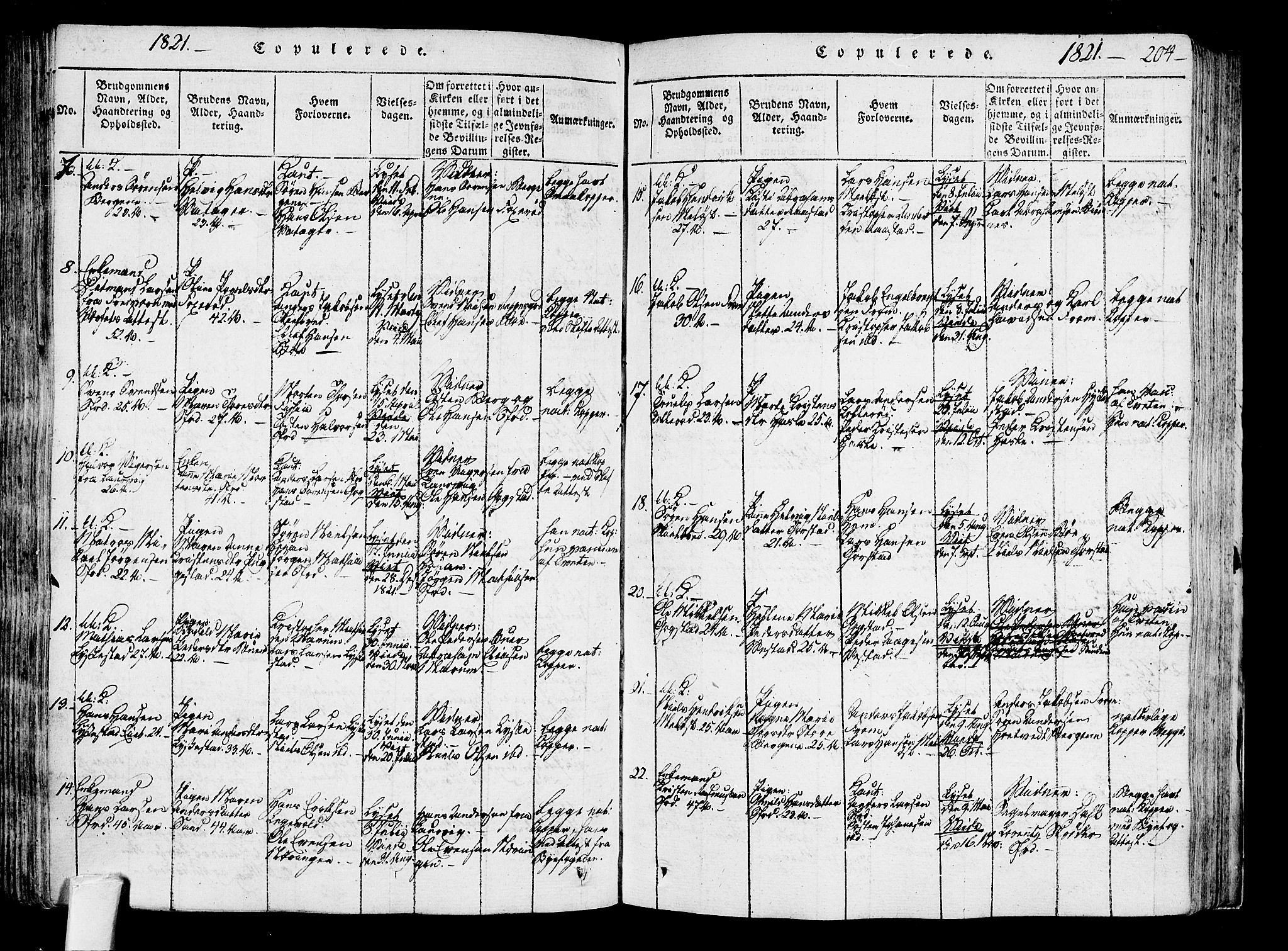 Sandar kirkebøker, AV/SAKO-A-243/F/Fa/L0004: Parish register (official) no. 4, 1814-1832, p. 204