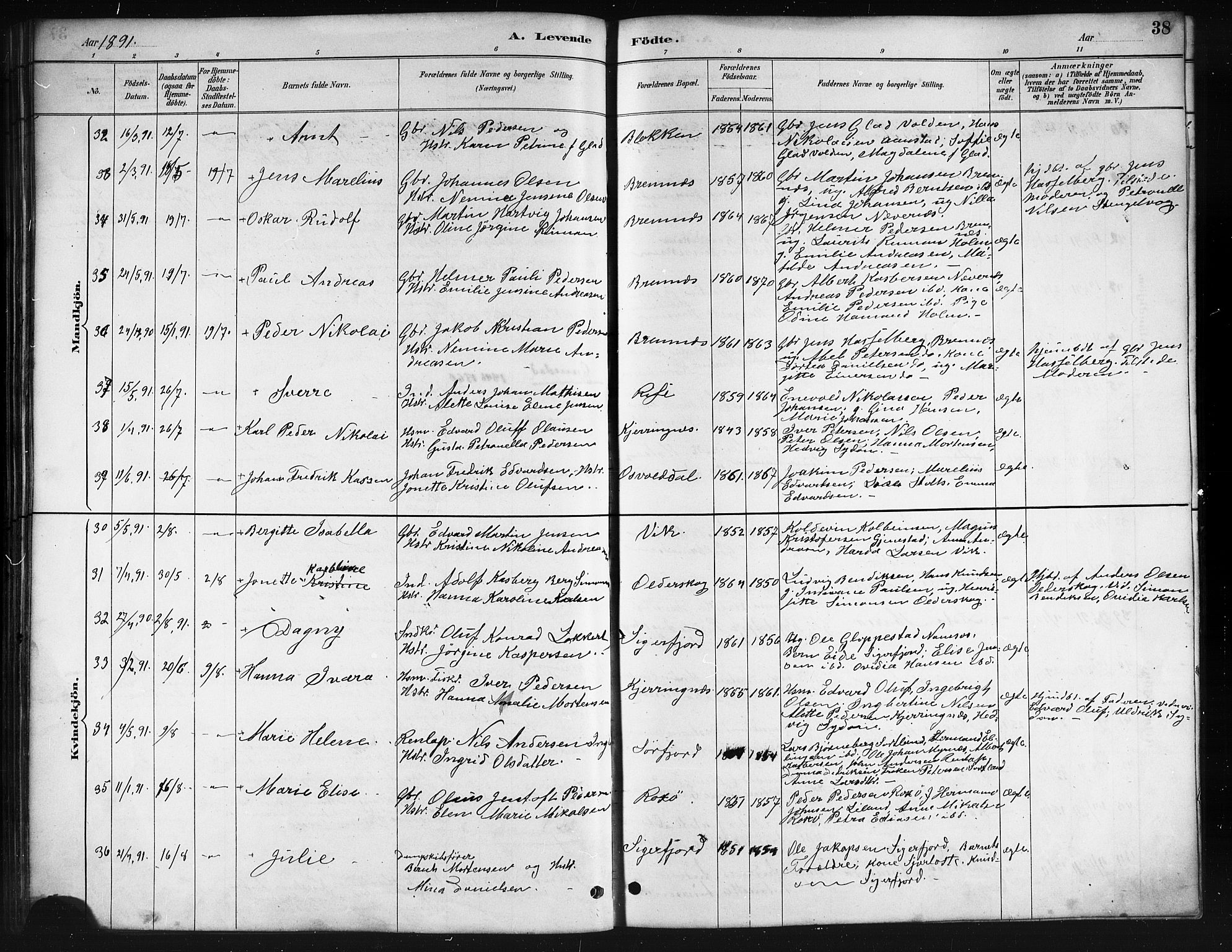 Ministerialprotokoller, klokkerbøker og fødselsregistre - Nordland, AV/SAT-A-1459/895/L1382: Parish register (copy) no. 895C04, 1885-1896, p. 38