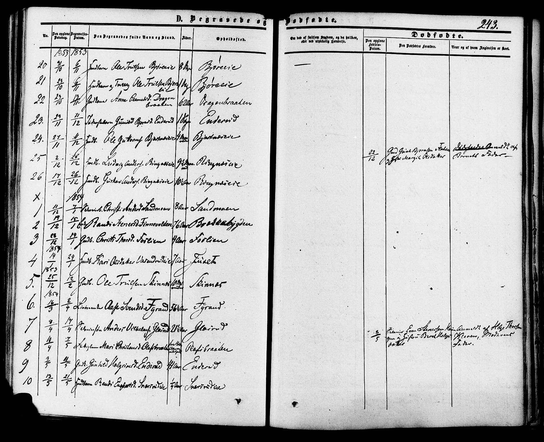 Krødsherad kirkebøker, SAKO/A-19/F/Fa/L0003: Parish register (official) no. 3, 1851-1872, p. 243