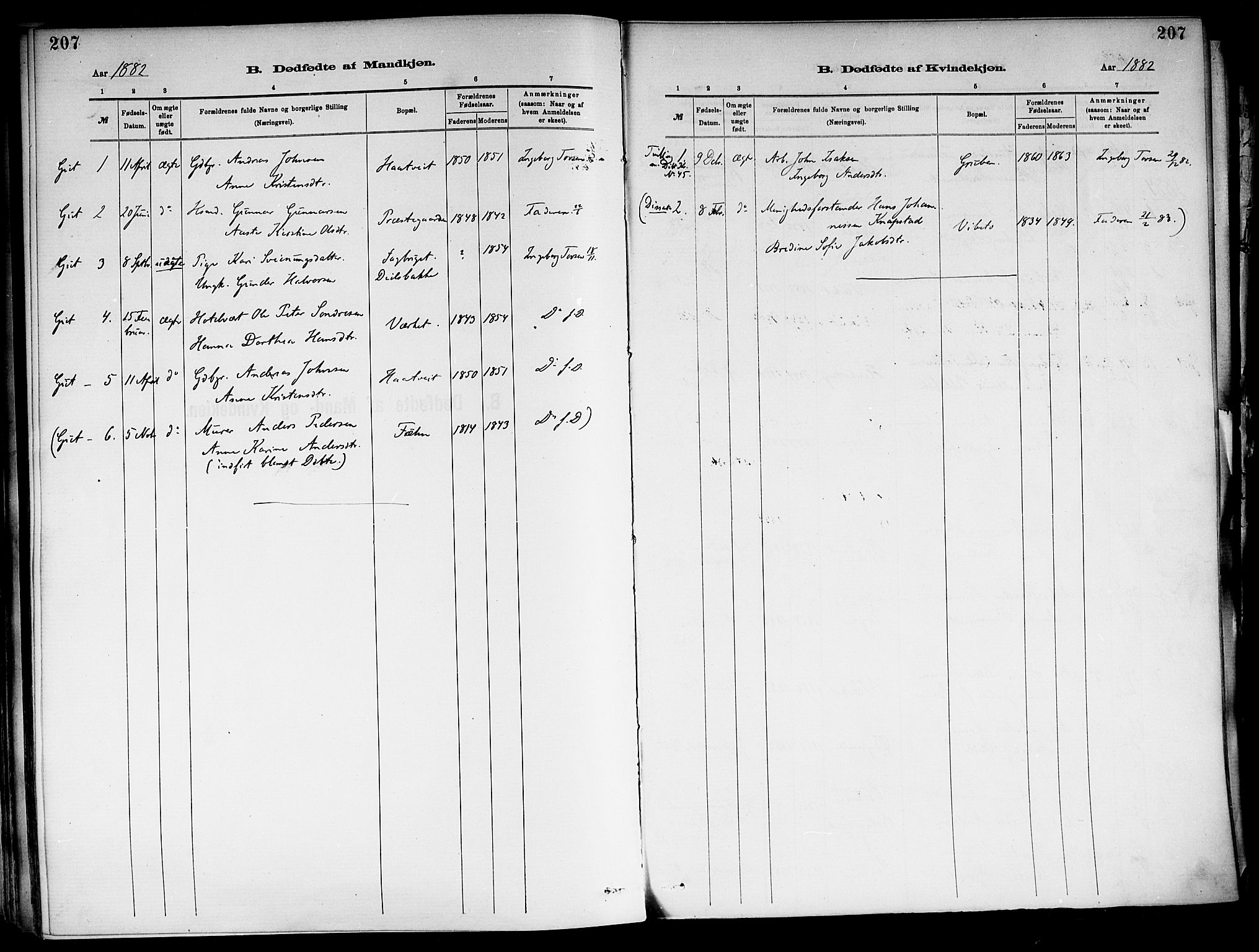 Holla kirkebøker, SAKO/A-272/F/Fa/L0008: Parish register (official) no. 8, 1882-1897, p. 207