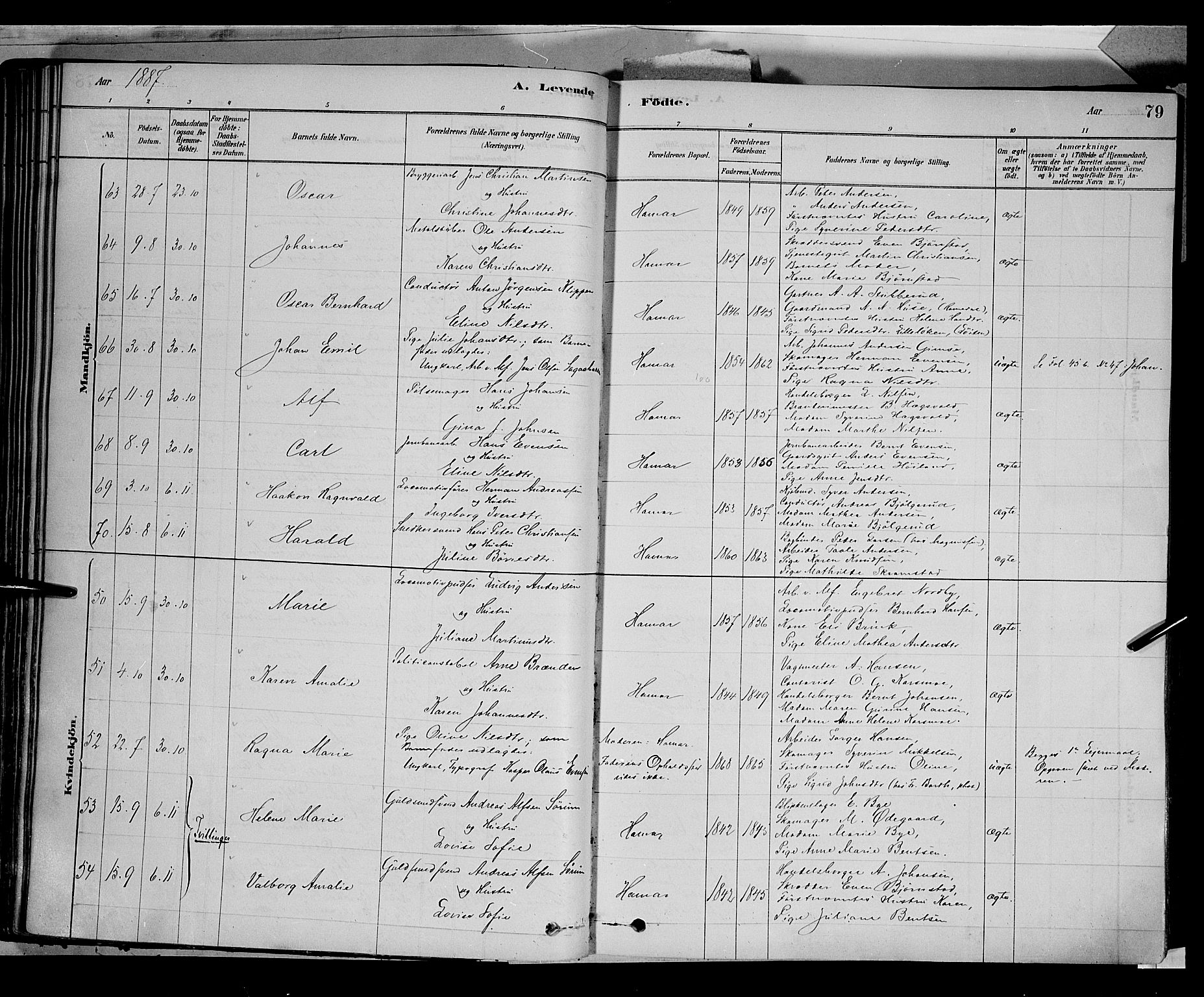 Vang prestekontor, Hedmark, AV/SAH-PREST-008/H/Ha/Haa/L0016: Parish register (official) no. 16, 1878-1889, p. 79