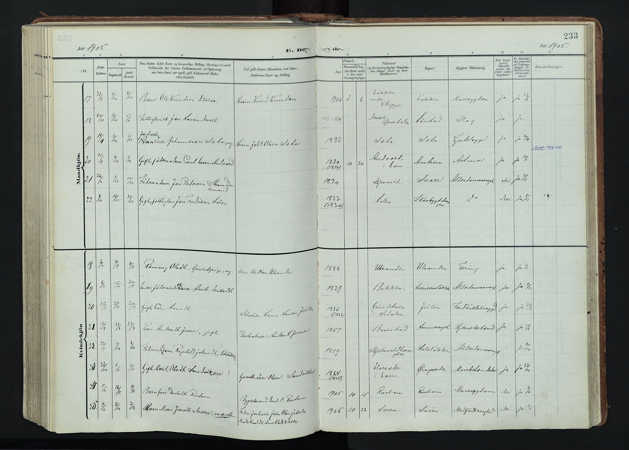 Vågå prestekontor, AV/SAH-PREST-076/H/Ha/Haa/L0011: Parish register (official) no. 11, 1905-1924, p. 233