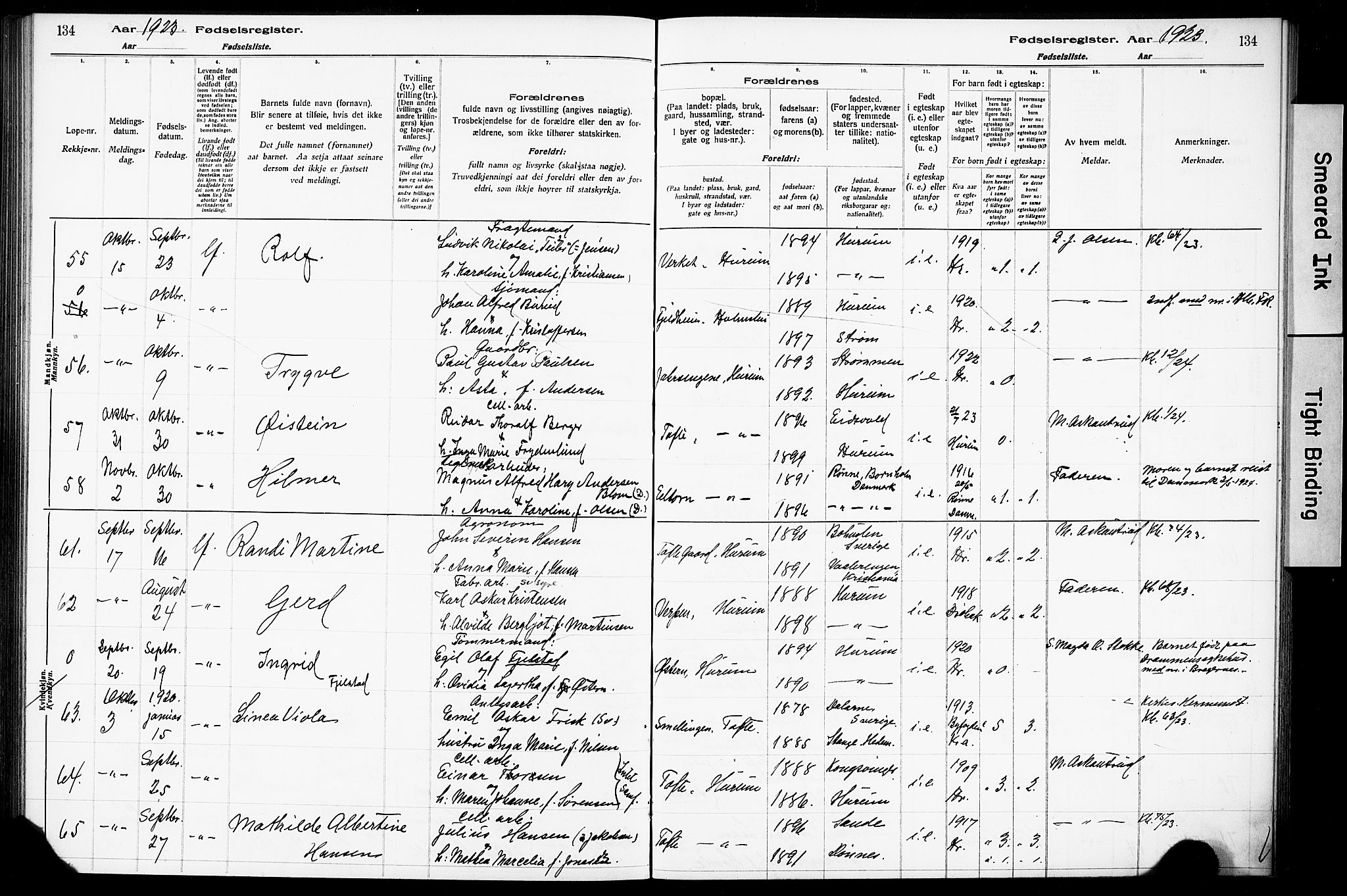 Hurum kirkebøker, AV/SAKO-A-229/J/Ja/L0001: Birth register no. 1, 1916-1928, p. 134