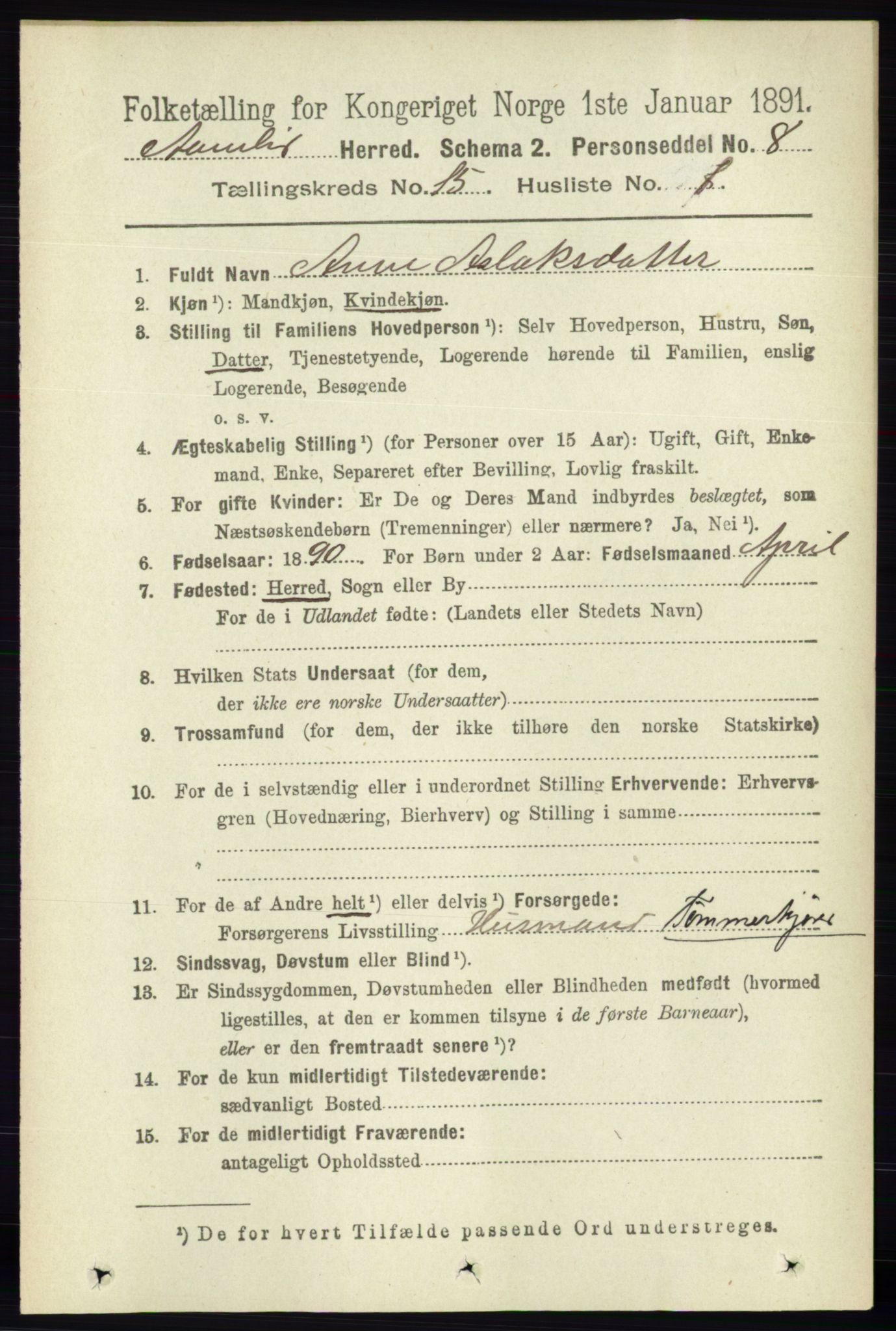 RA, 1891 census for 0929 Åmli, 1891, p. 2550