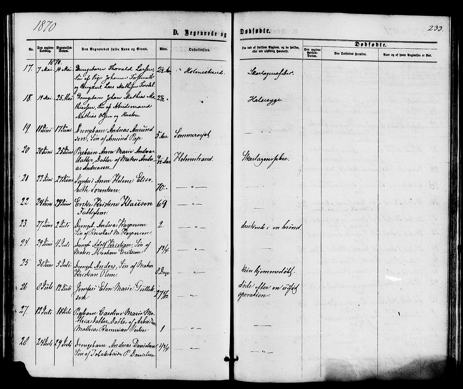 Holmestrand kirkebøker, AV/SAKO-A-346/F/Fa/L0003: Parish register (official) no. 3, 1867-1879, p. 233