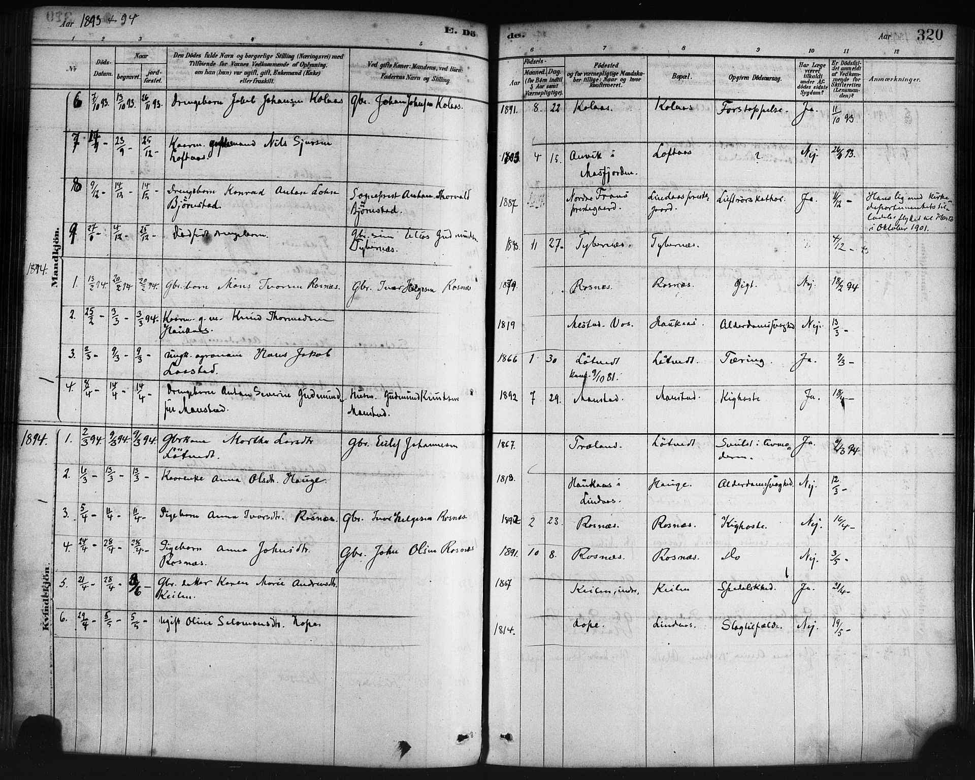 Lindås Sokneprestembete, SAB/A-76701/H/Haa: Parish register (official) no. A 19, 1878-1912, p. 320